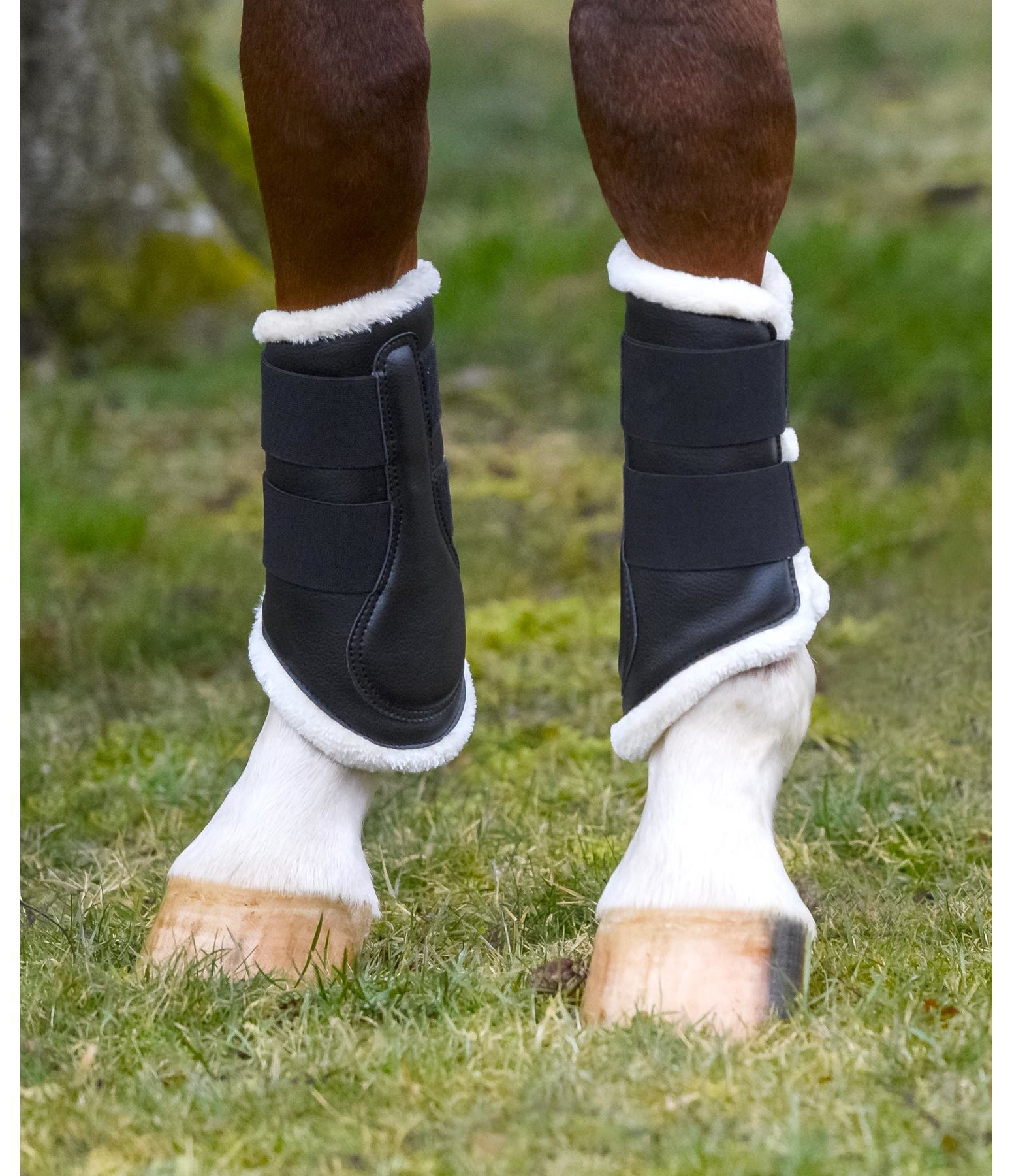 Dressage Boots Teddy Fleece, front legs