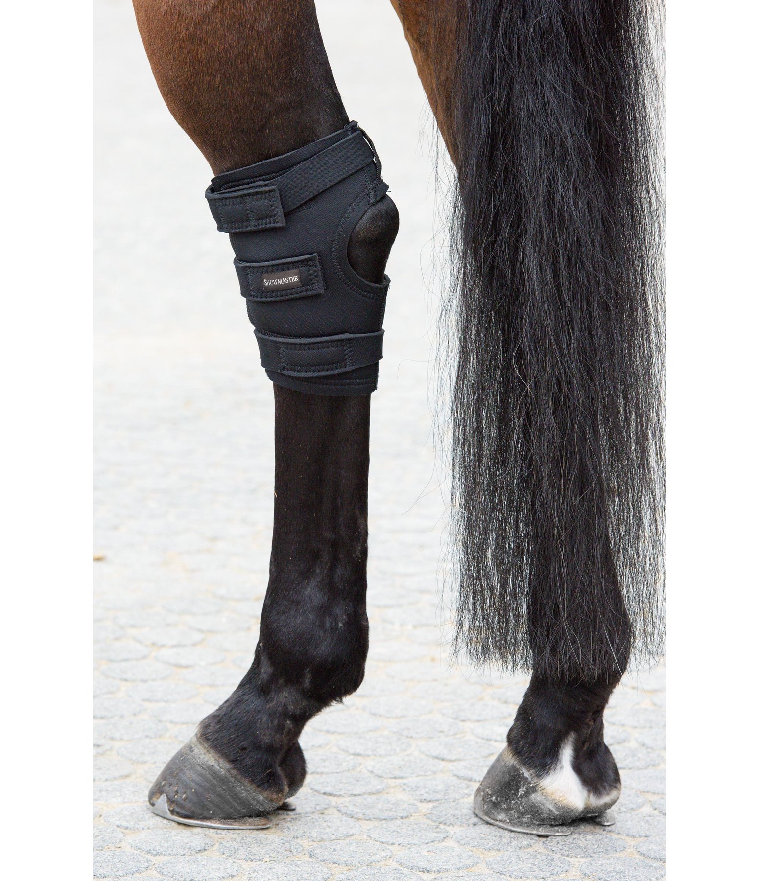 Hock Boots SHOWMASTER Bandages Boots Kramer Equestrian