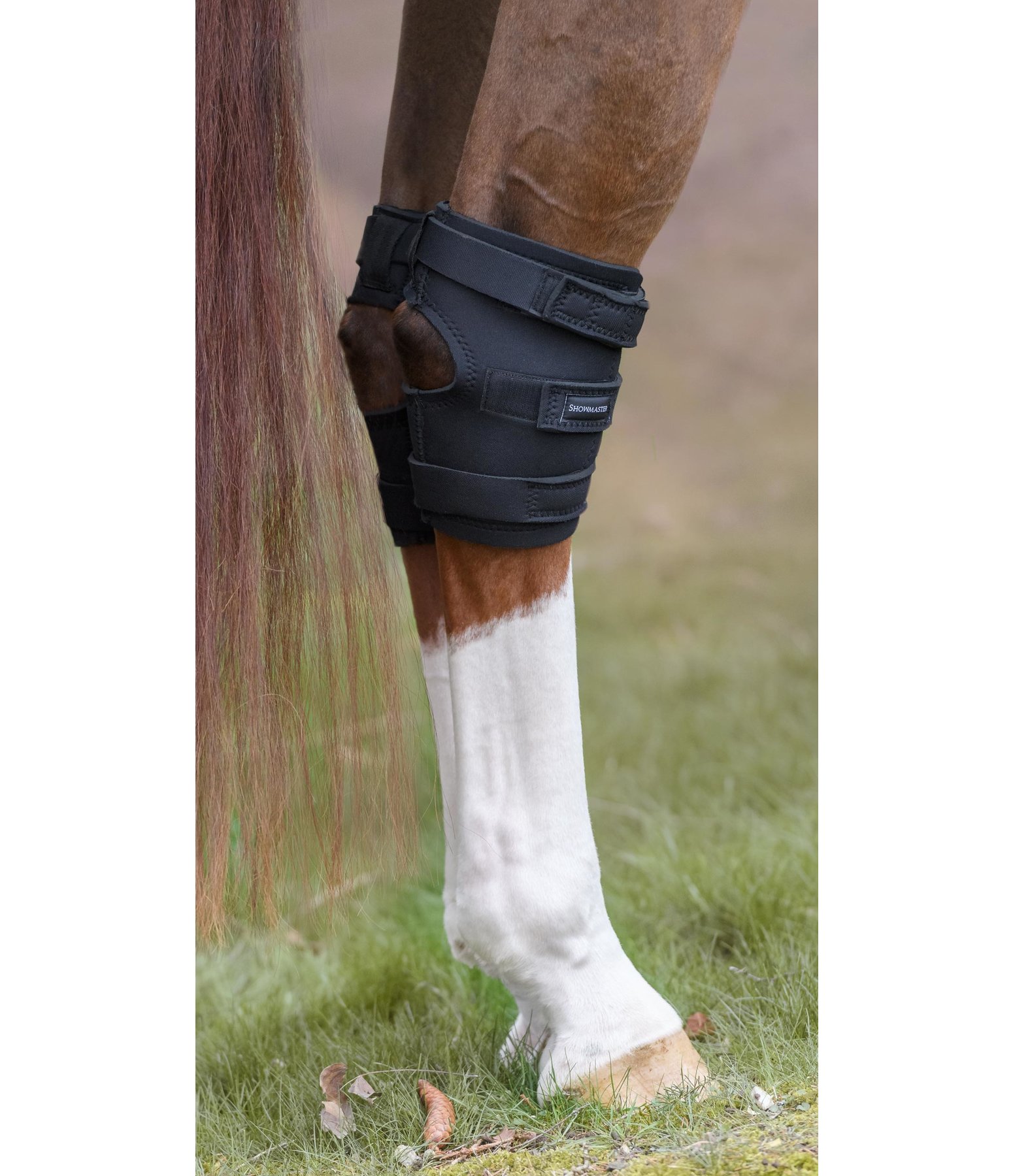 Hock boots shop for turnout
