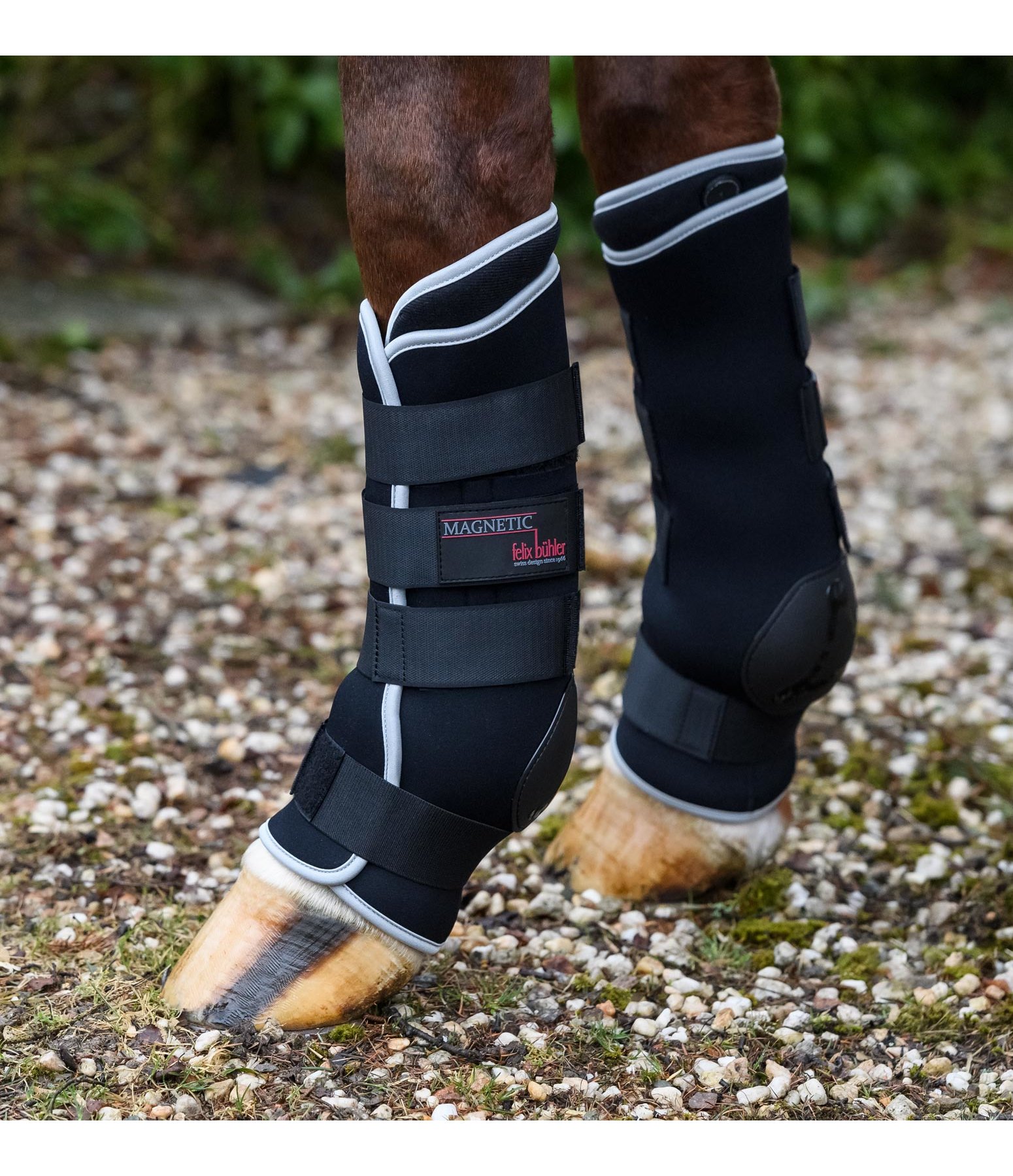 long stable boots