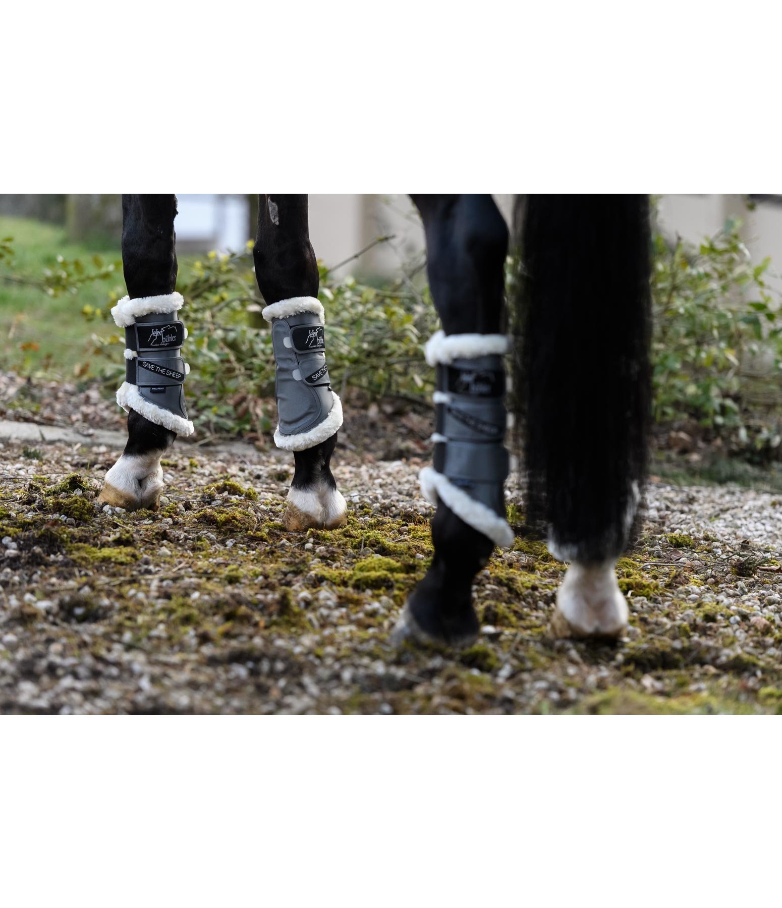 Dressage Boots Save the Sheep, Front Legs