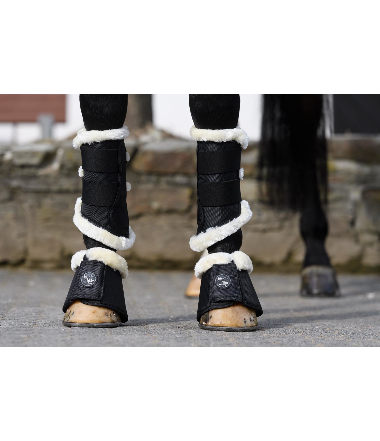   Dressage Boots, Front Legs 