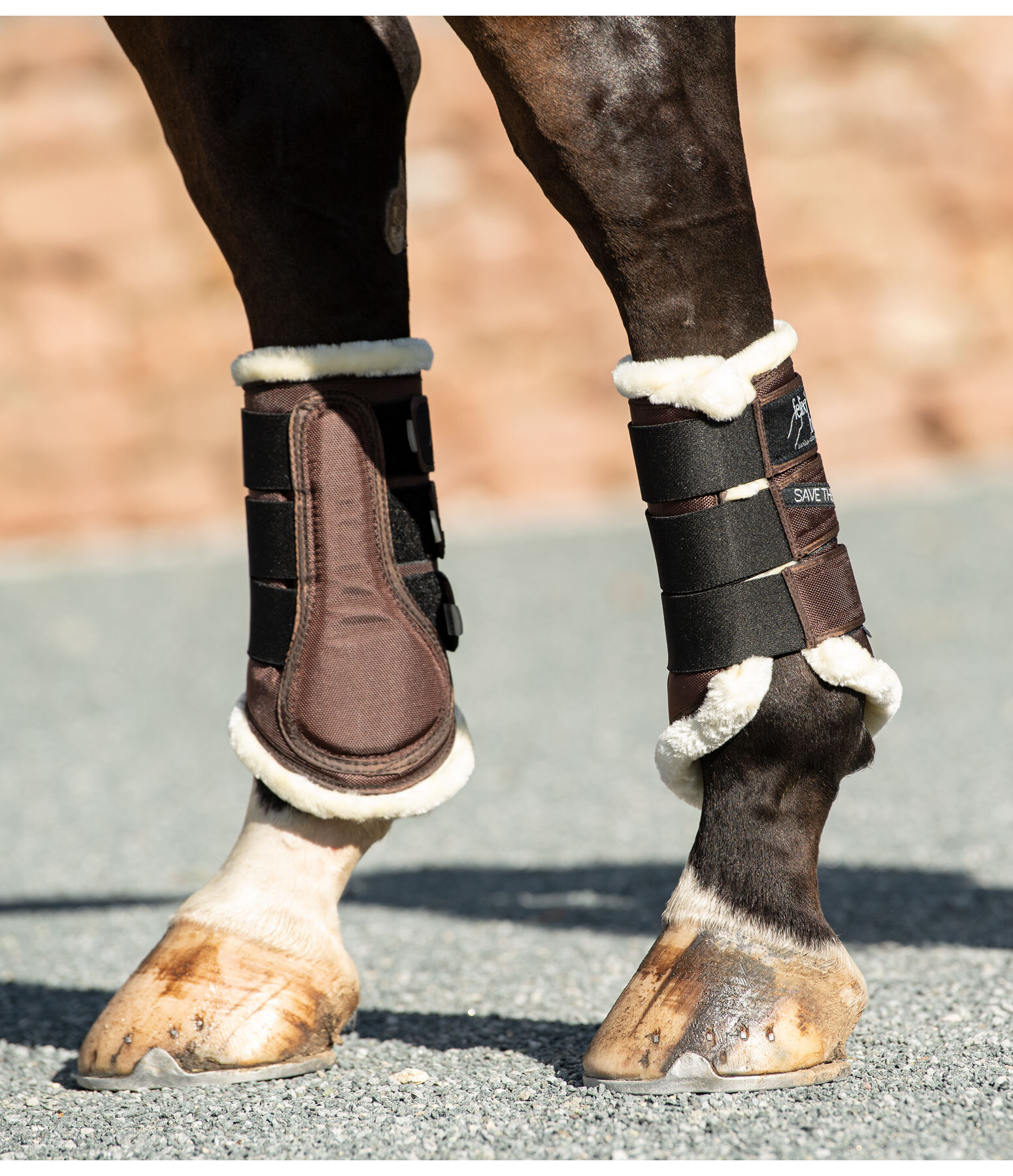 Dressage Boots Save the Sheep, Hind Legs