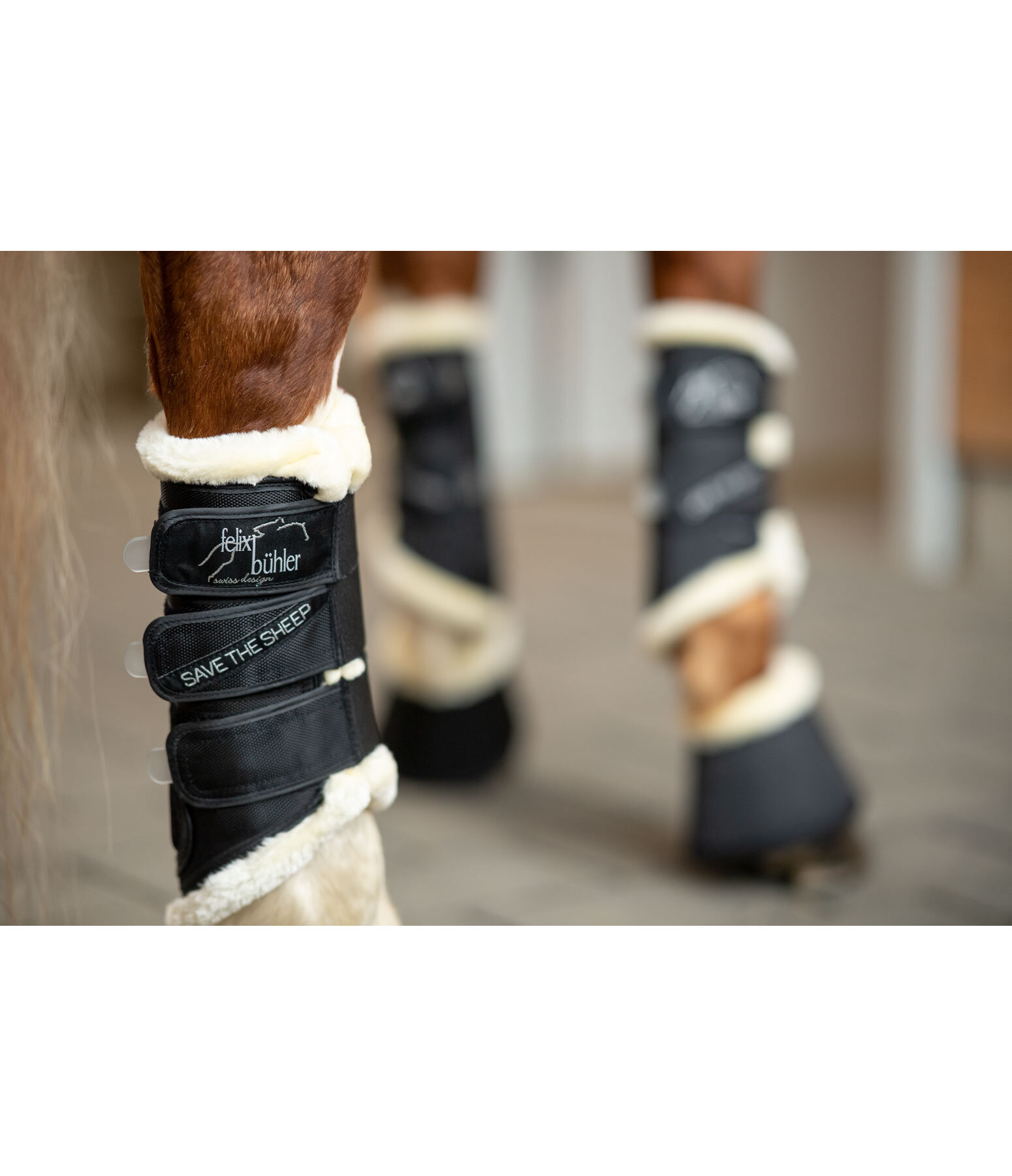 Dressage Boots Save the Sheep, Hind Legs