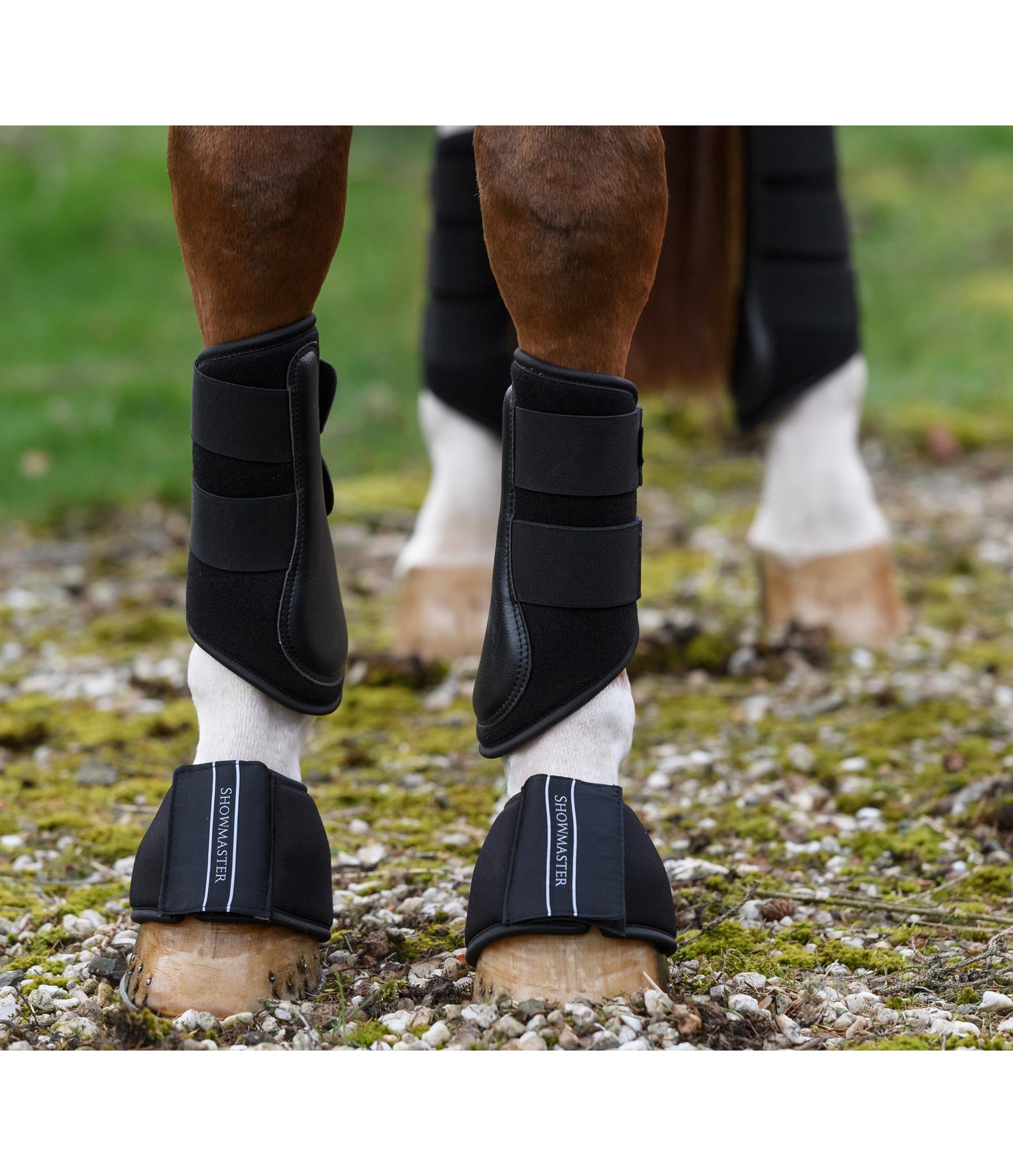 Horse exercise boots