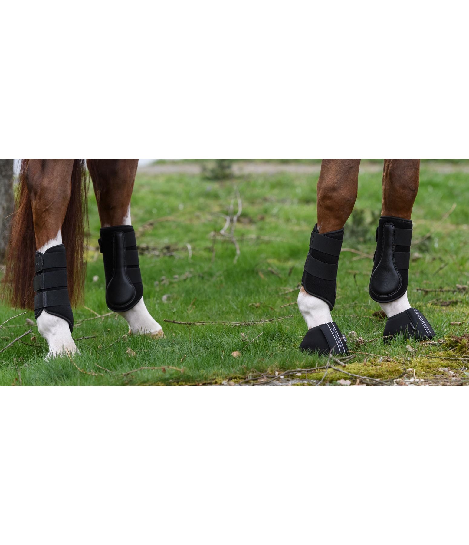 All-Day Training Boots, front legs