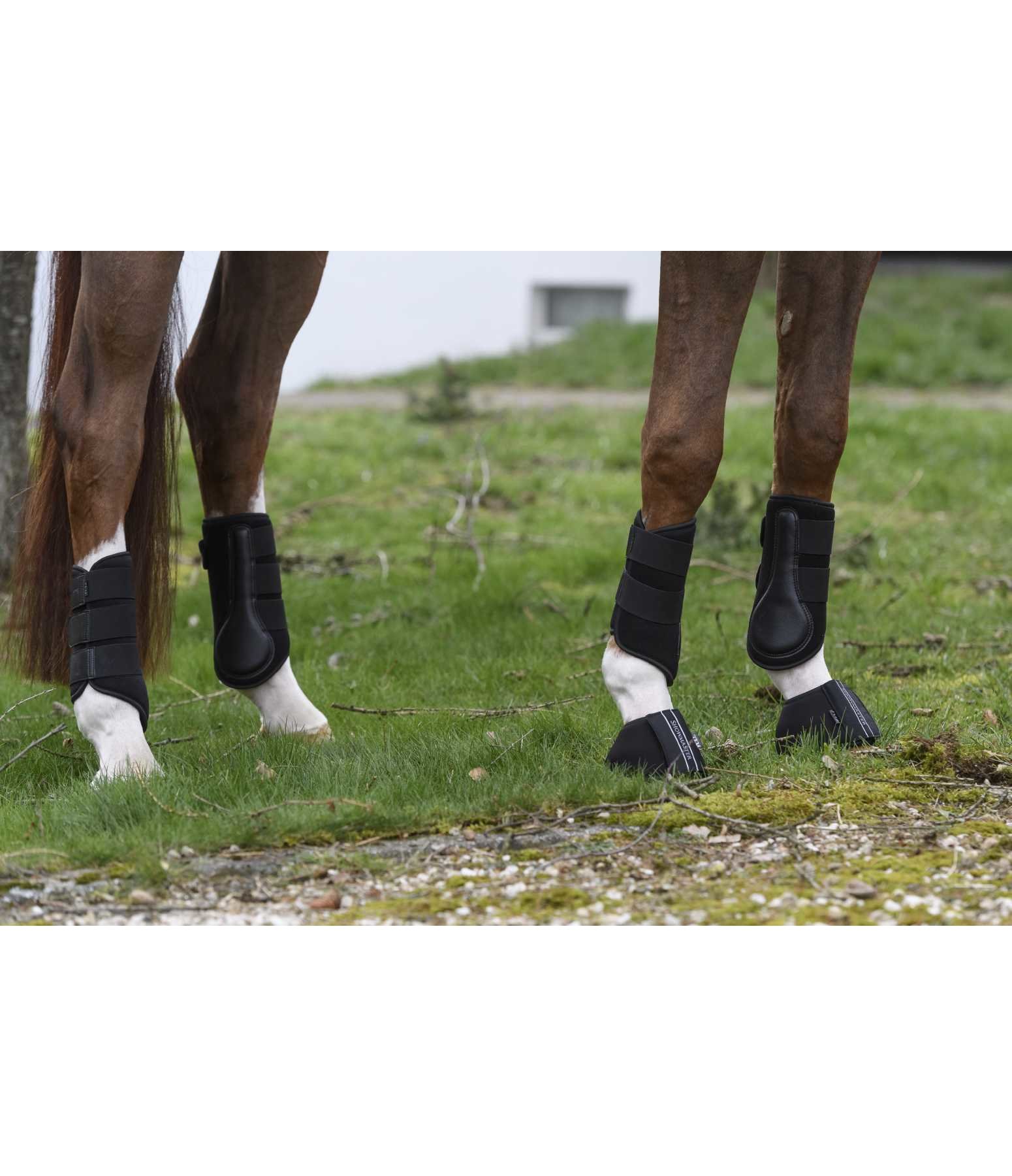 All-Day Training Boots, hind legs