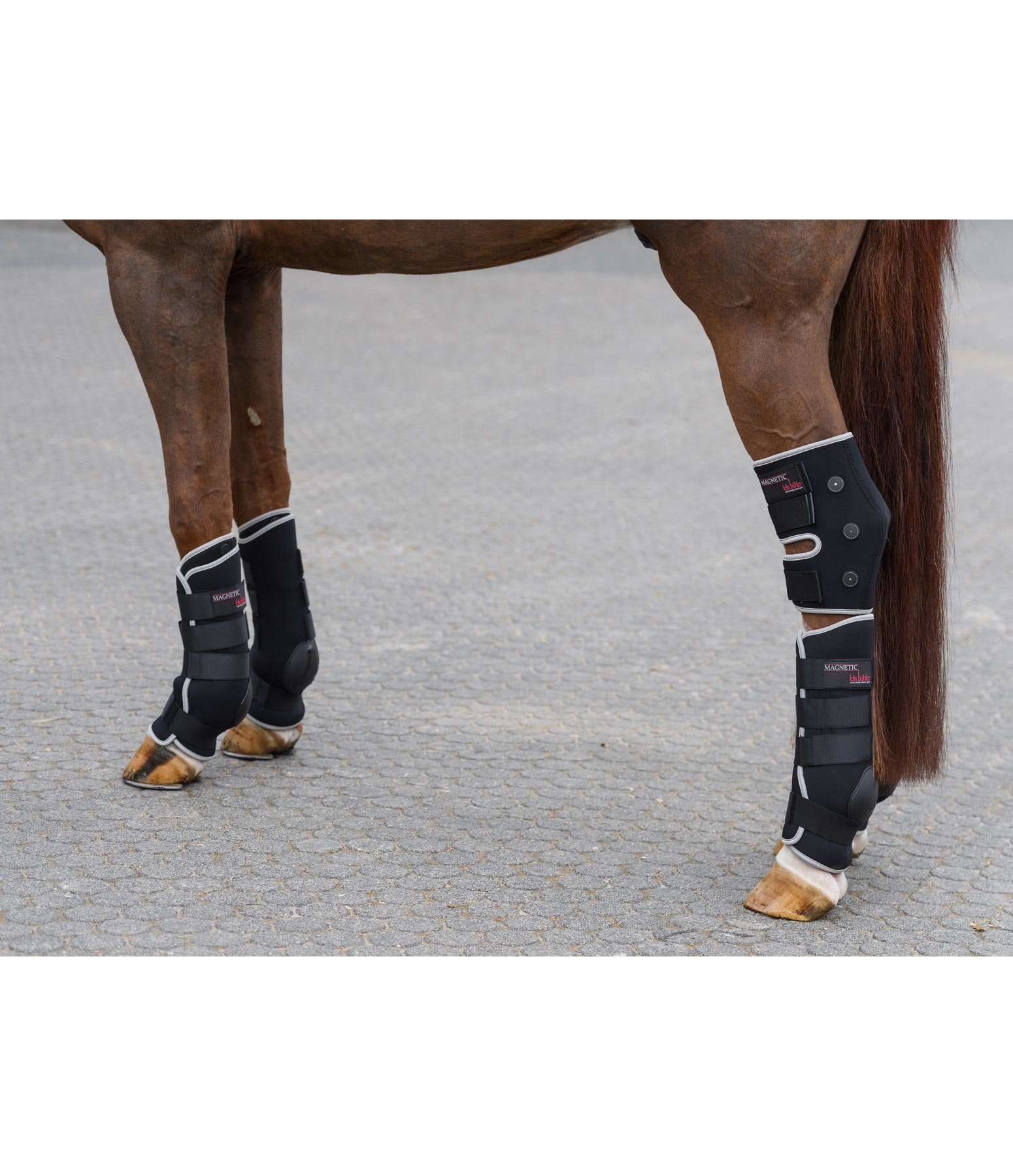 Hock boots clearance for stable