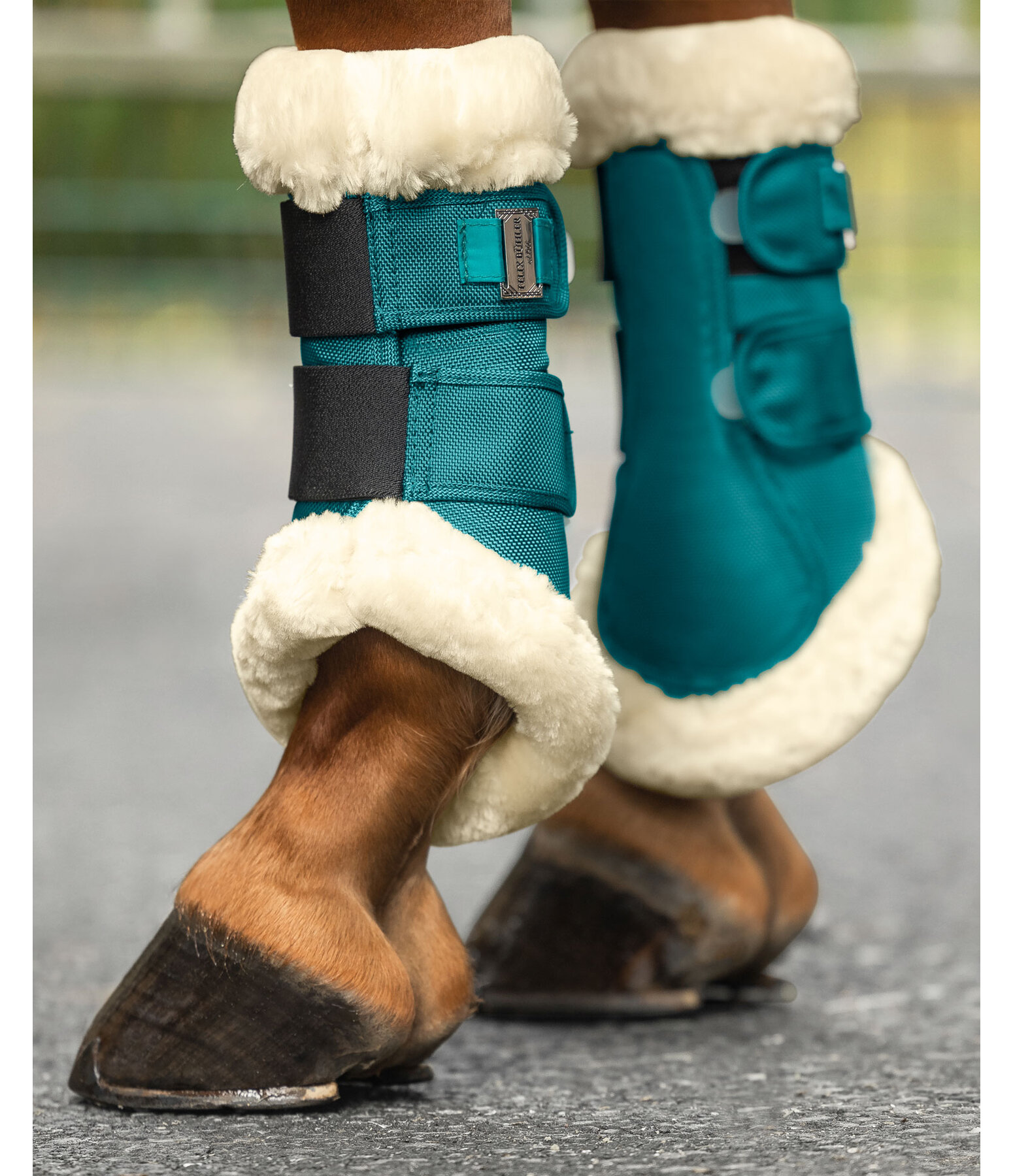 Teddy Fleece Dressage Boots Essential, front legs