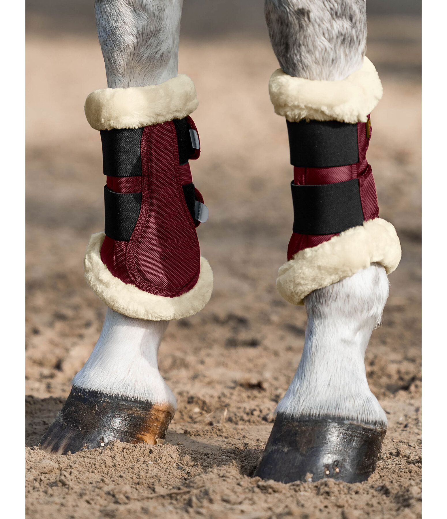 Teddy Fleece Dressage Boots Essential, front legs