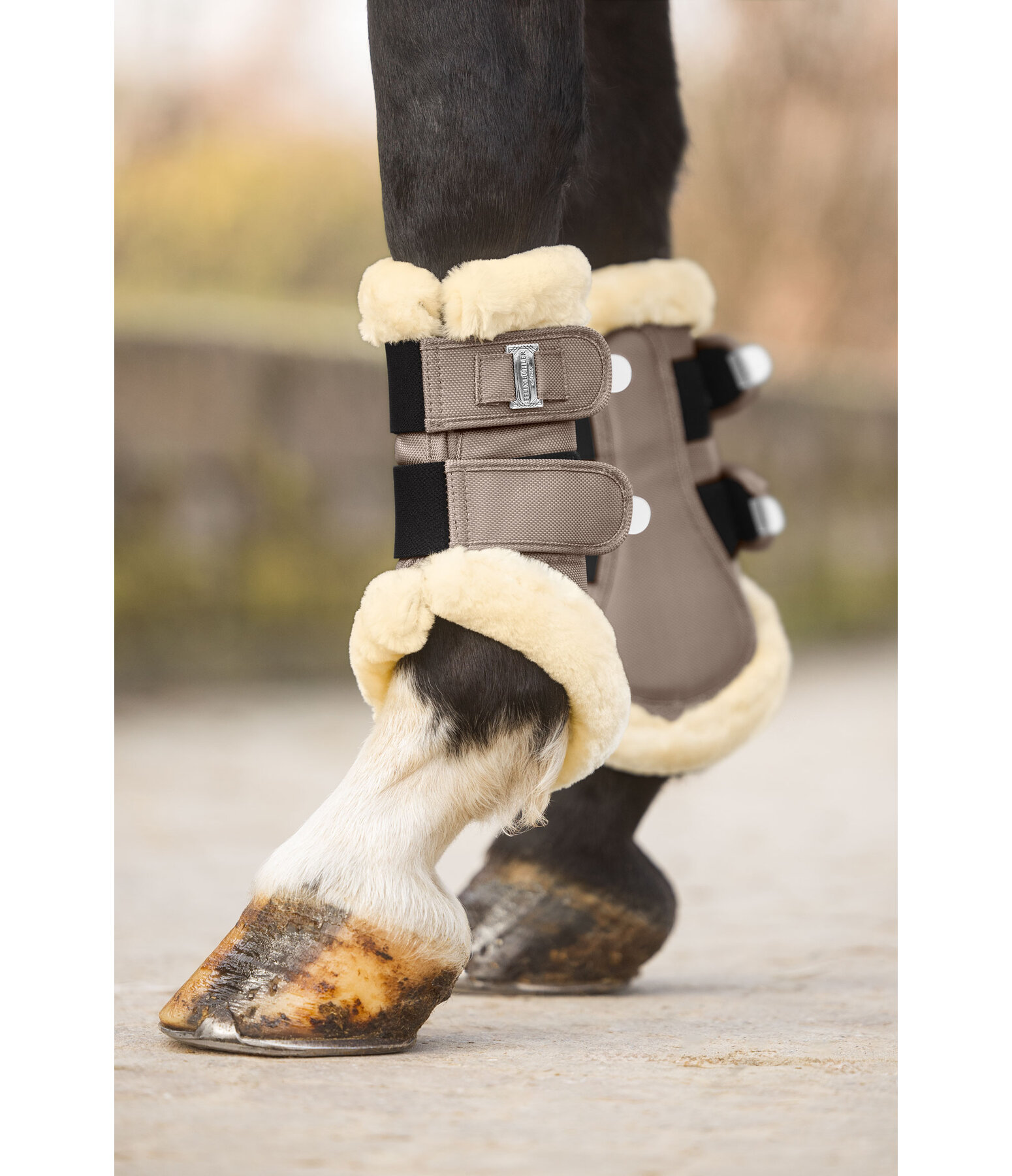 Teddy Fleece Dressage Boots Essential, Front Legs