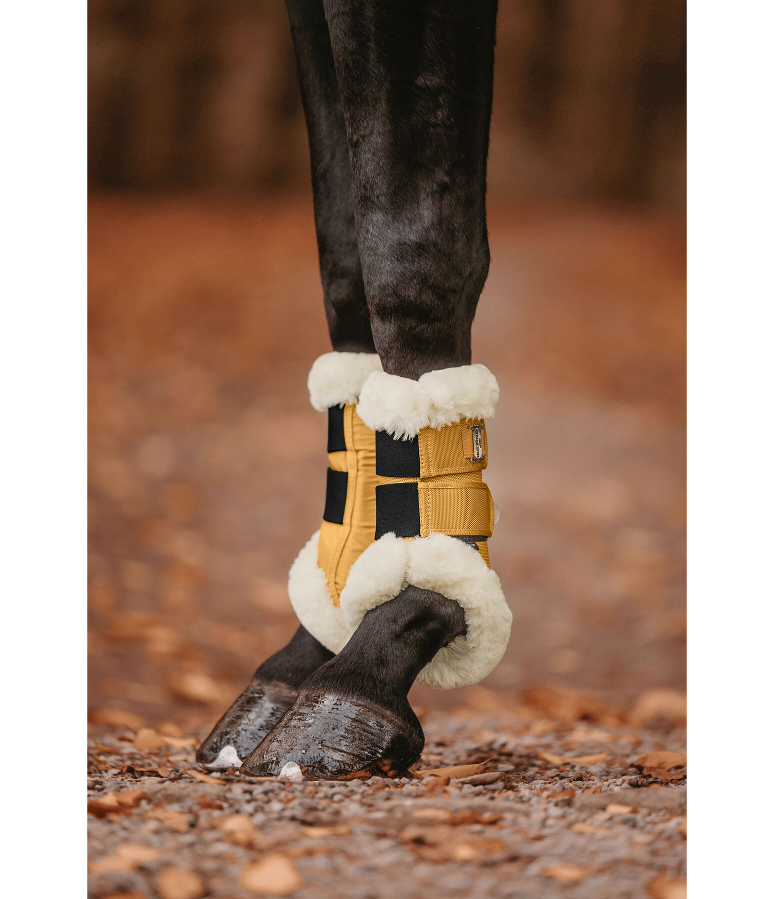 Teddy Fleece Dressage Boots Essential, front legs