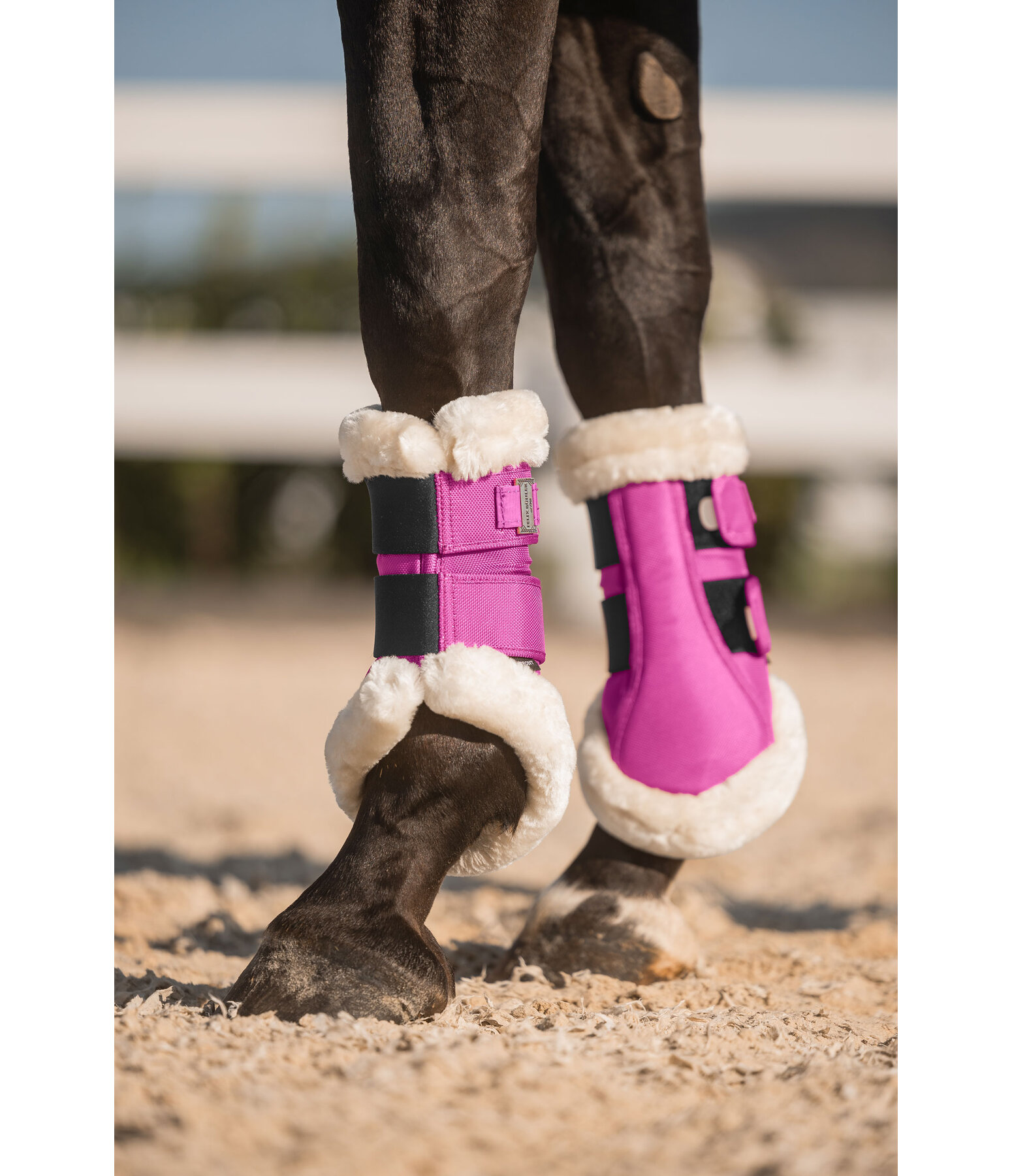 Teddy Fleece Dressage Boots Essential, front legs