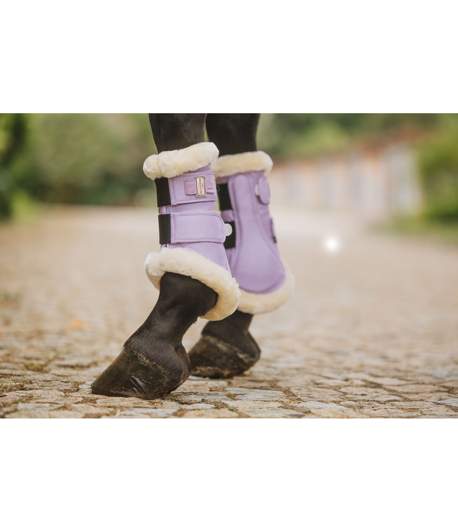 Teddy Fleece Dressage Boots Essential, Front Legs