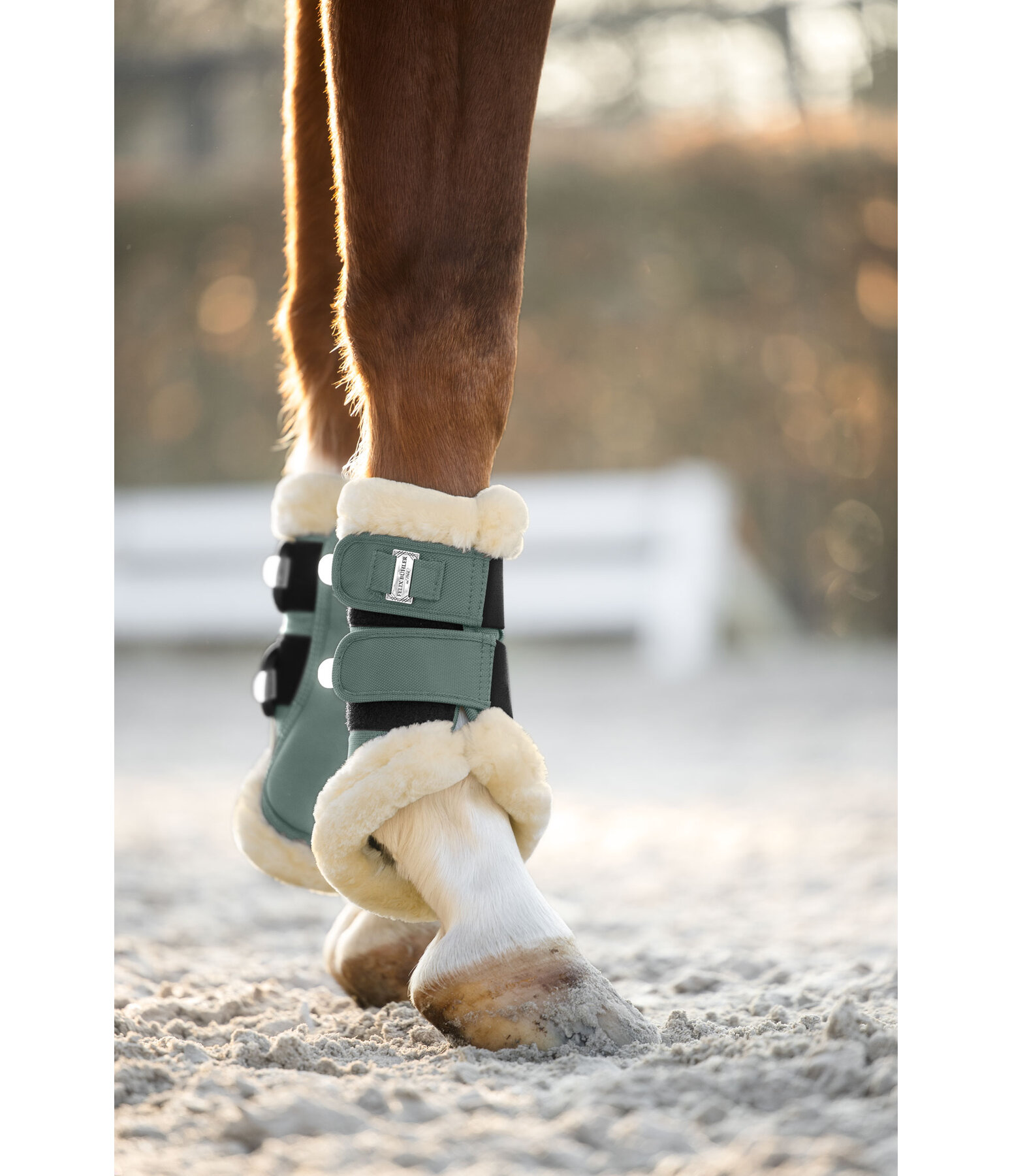 Teddy Fleece Dressage Boots Essential, Front Legs