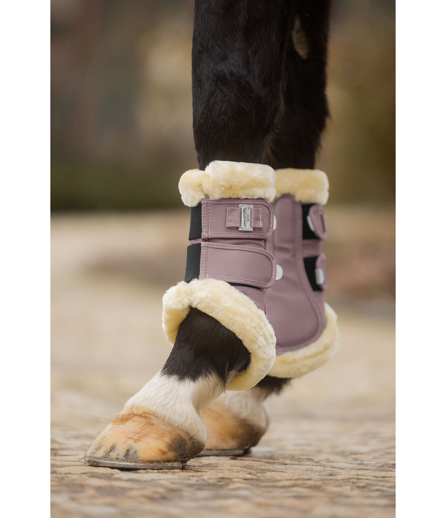 Teddy Fleece Dressage Boots Essential, Front Legs