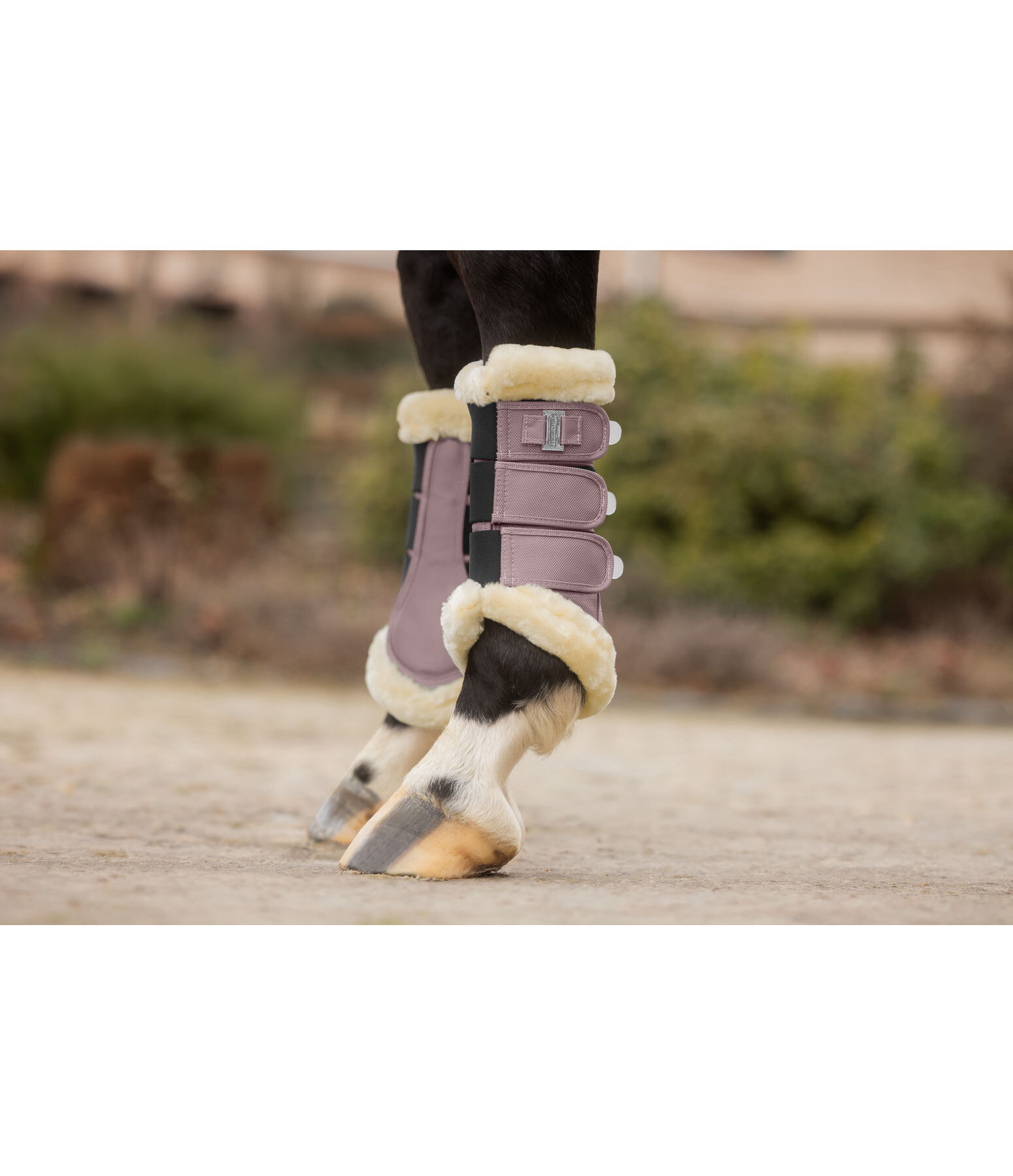 Teddy Fleece Dressage Boots Essential, Front Legs