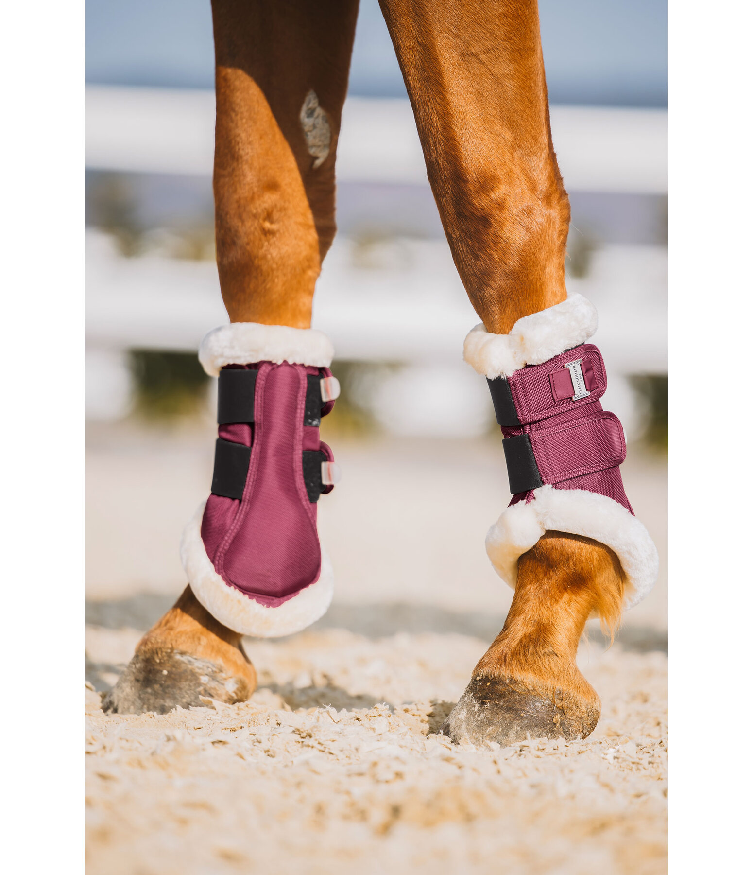 Teddy Fleece Dressage Boots Essential, Front Legs