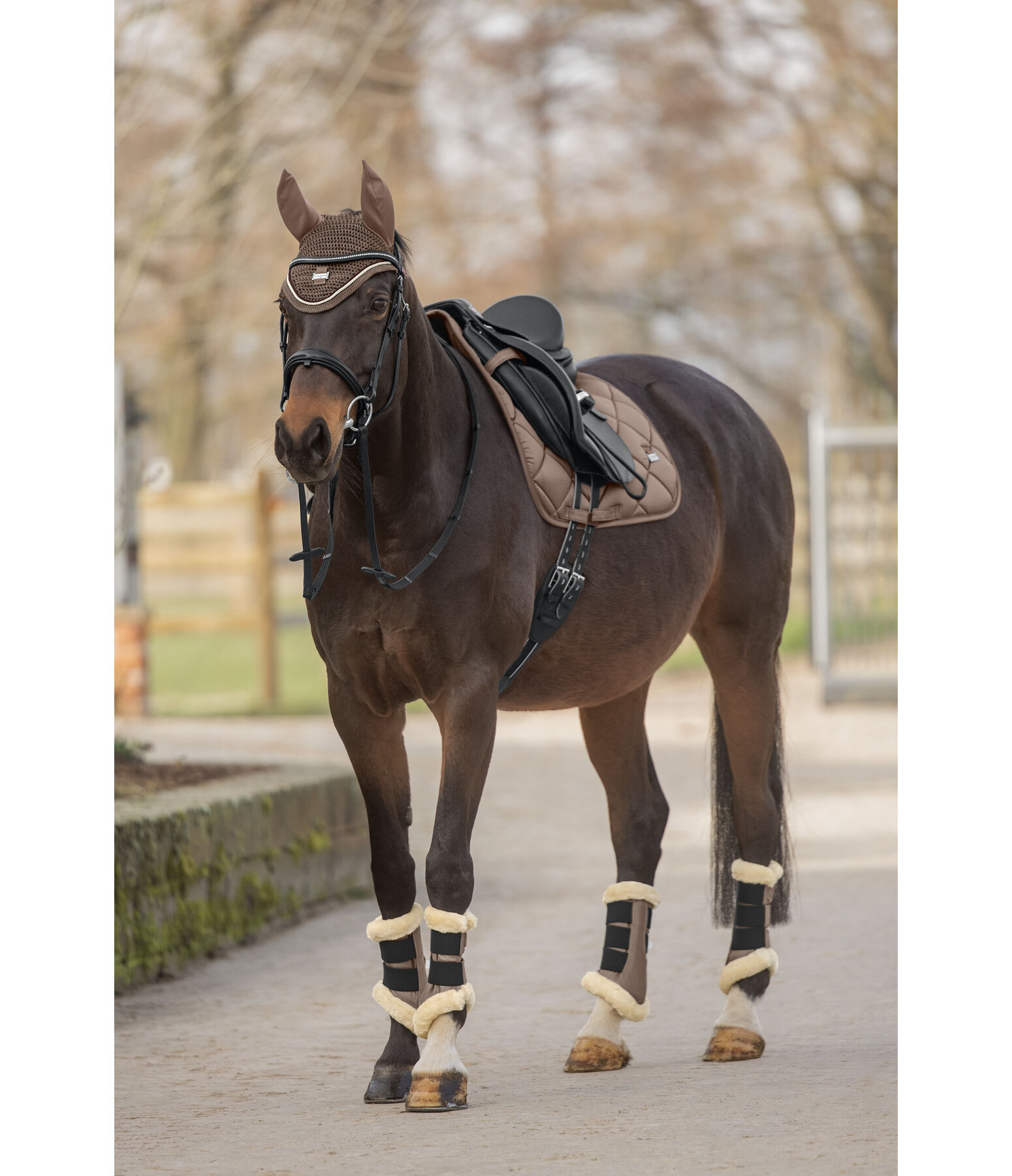 Teddy Fleece Dressage Boots Essential, Hind Legs