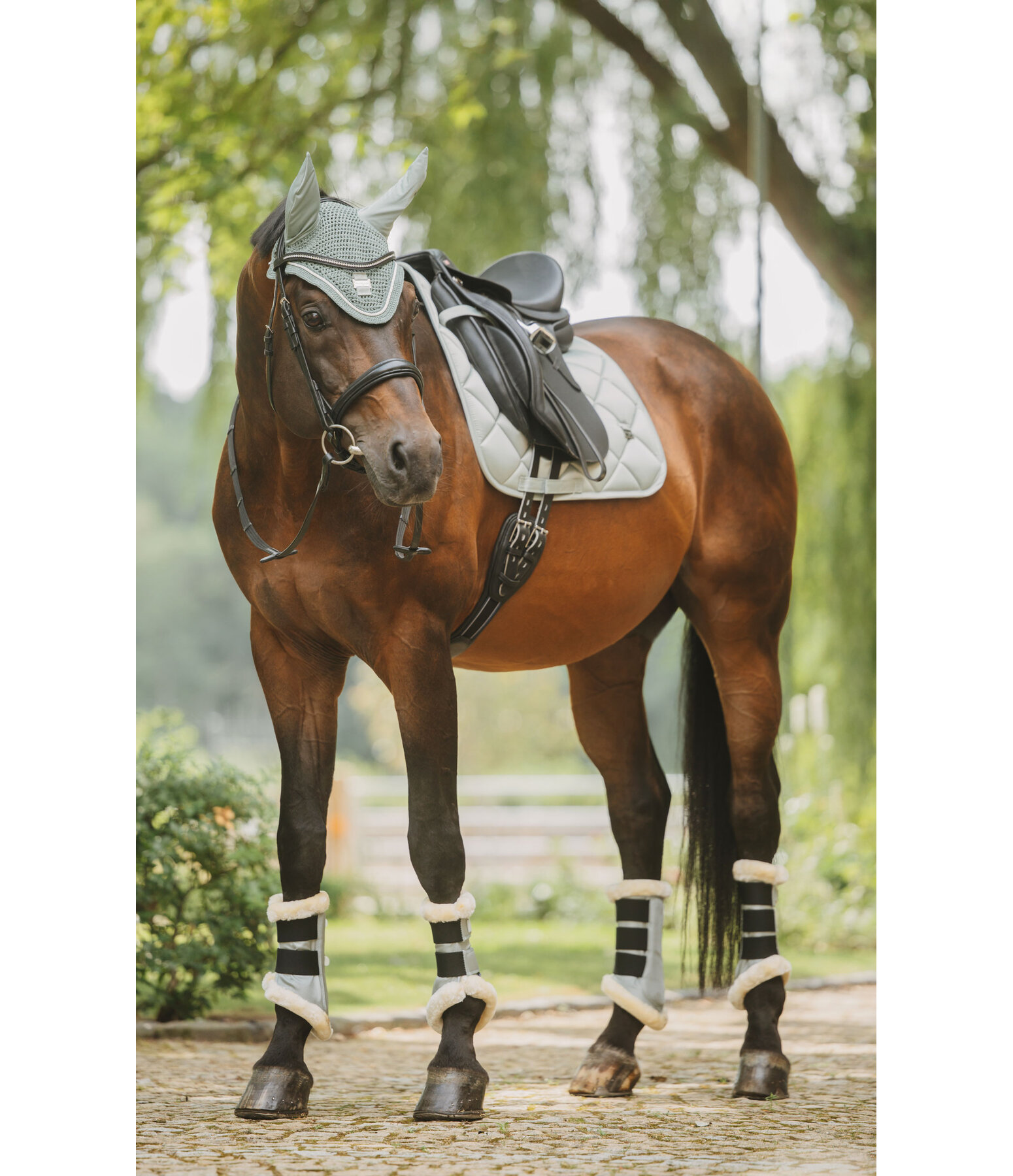 Teddy Fleece Dressage Boots Essential, Hind Legs