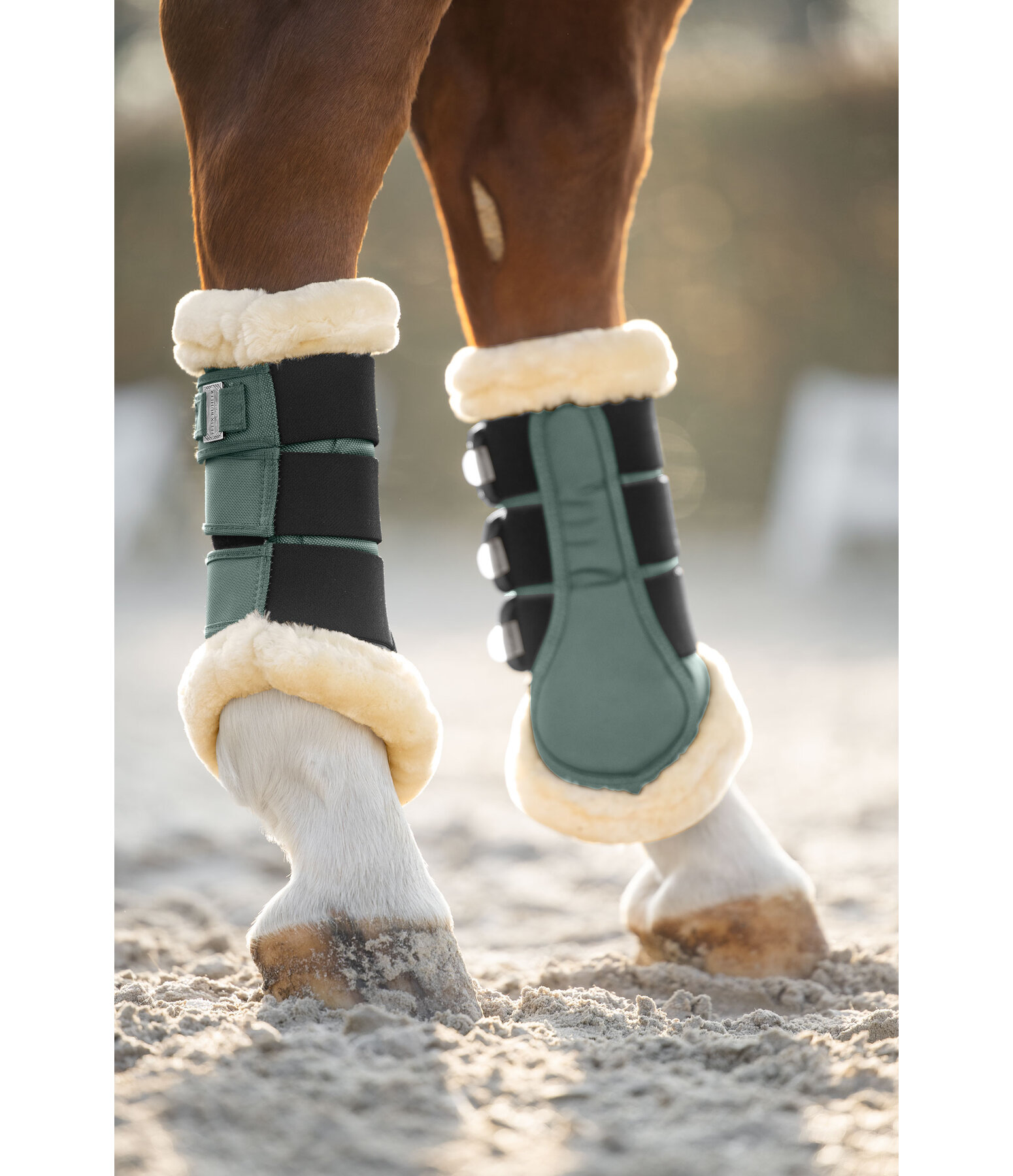 Teddy Fleece Dressage Boots Essential, Hind Legs