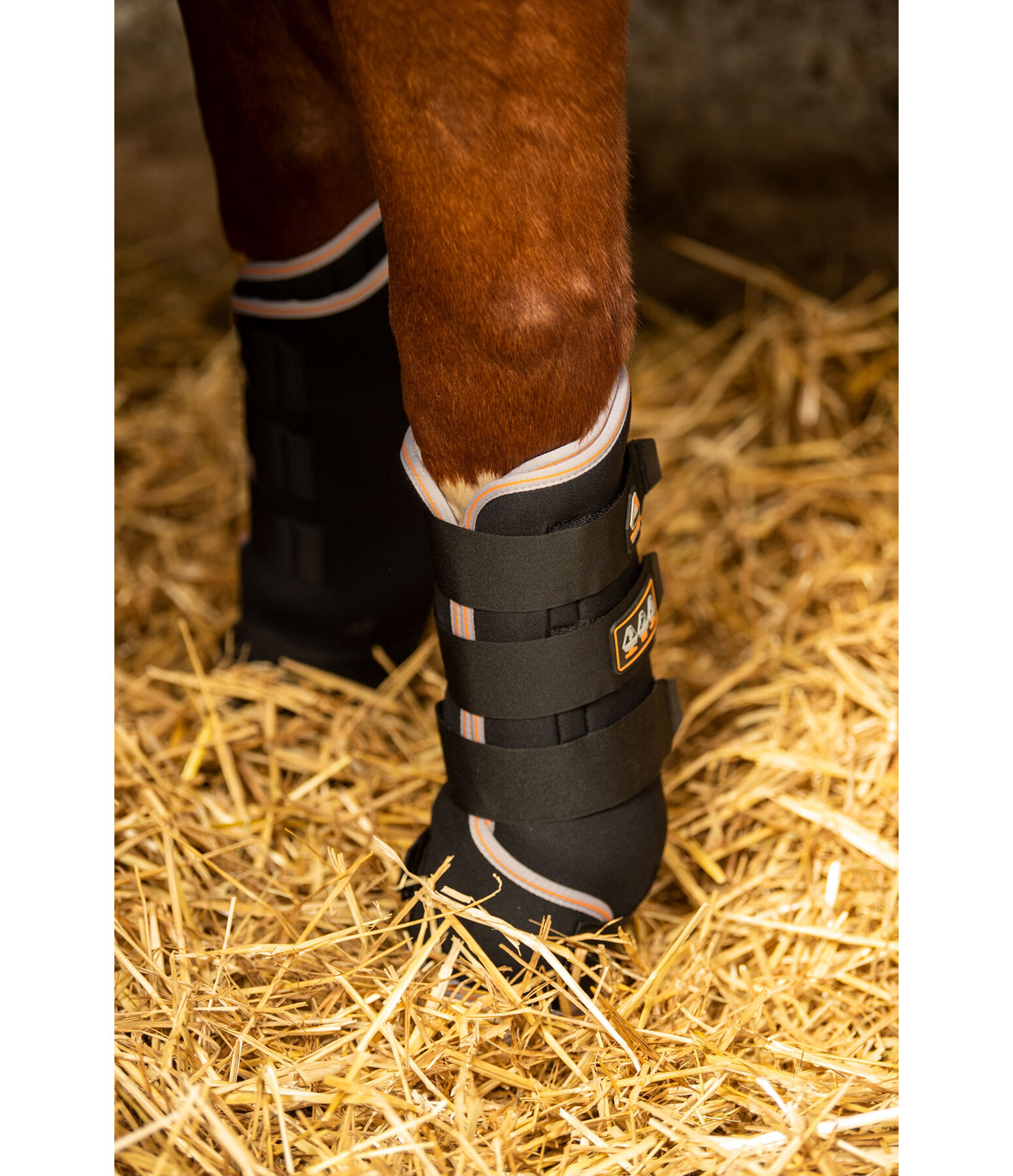 Stable Boots Ceramic Rehab