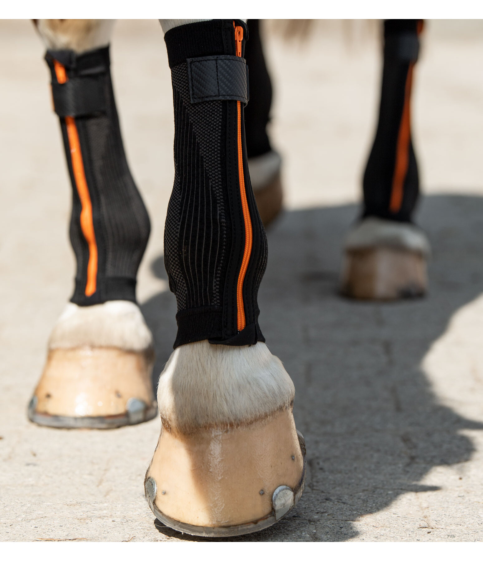 Compression Bandages Ceramic Rehab, Front Legs