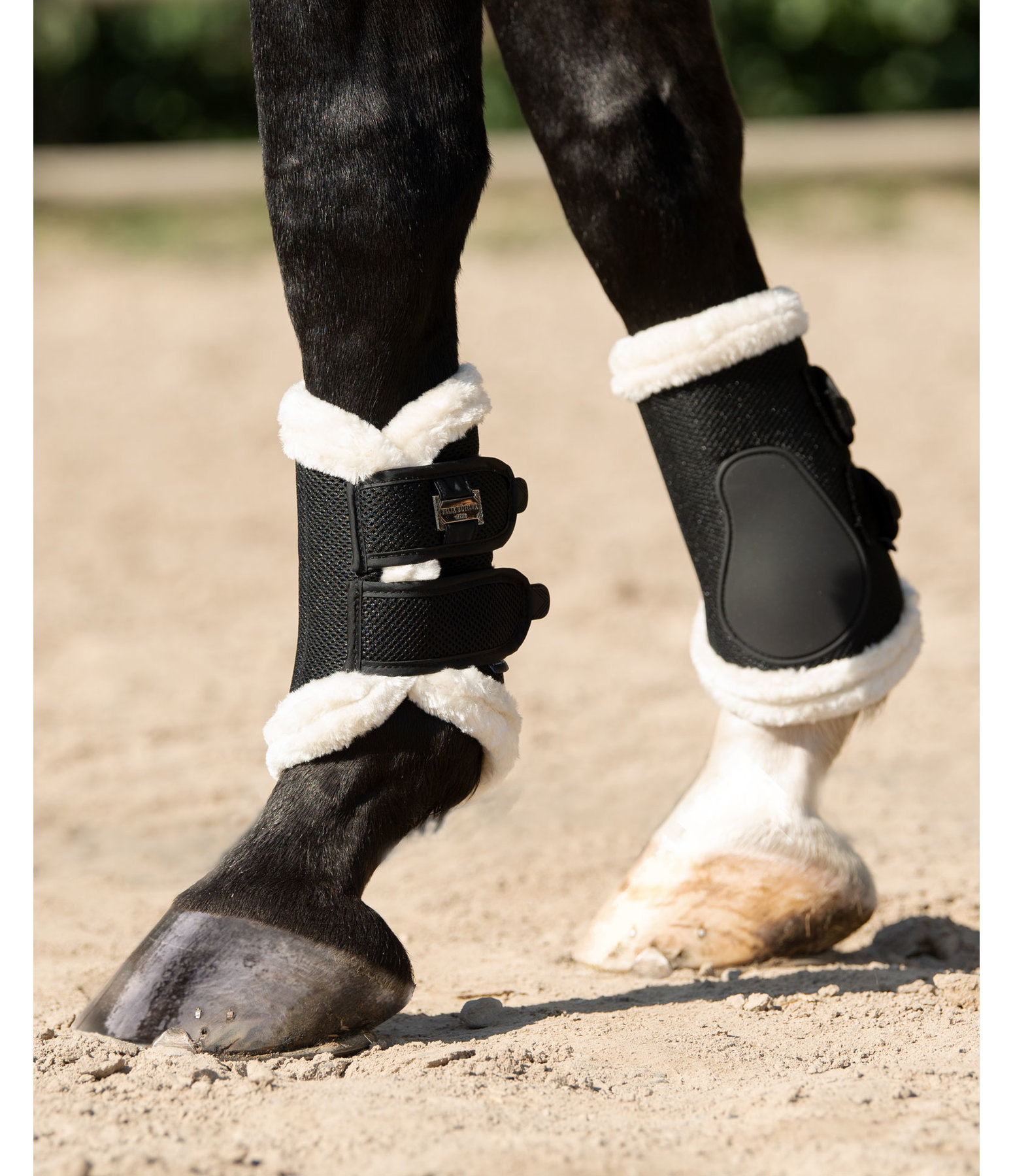 Air Mesh Dressage Boots Everyday, Front Legs Kramer Equestrian