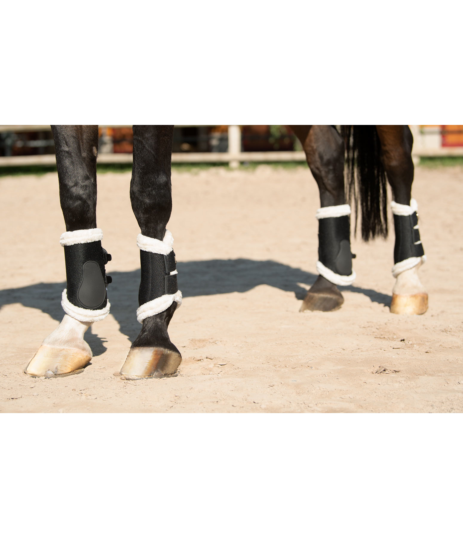 Air Mesh Dressage Boots Everyday, Front Legs