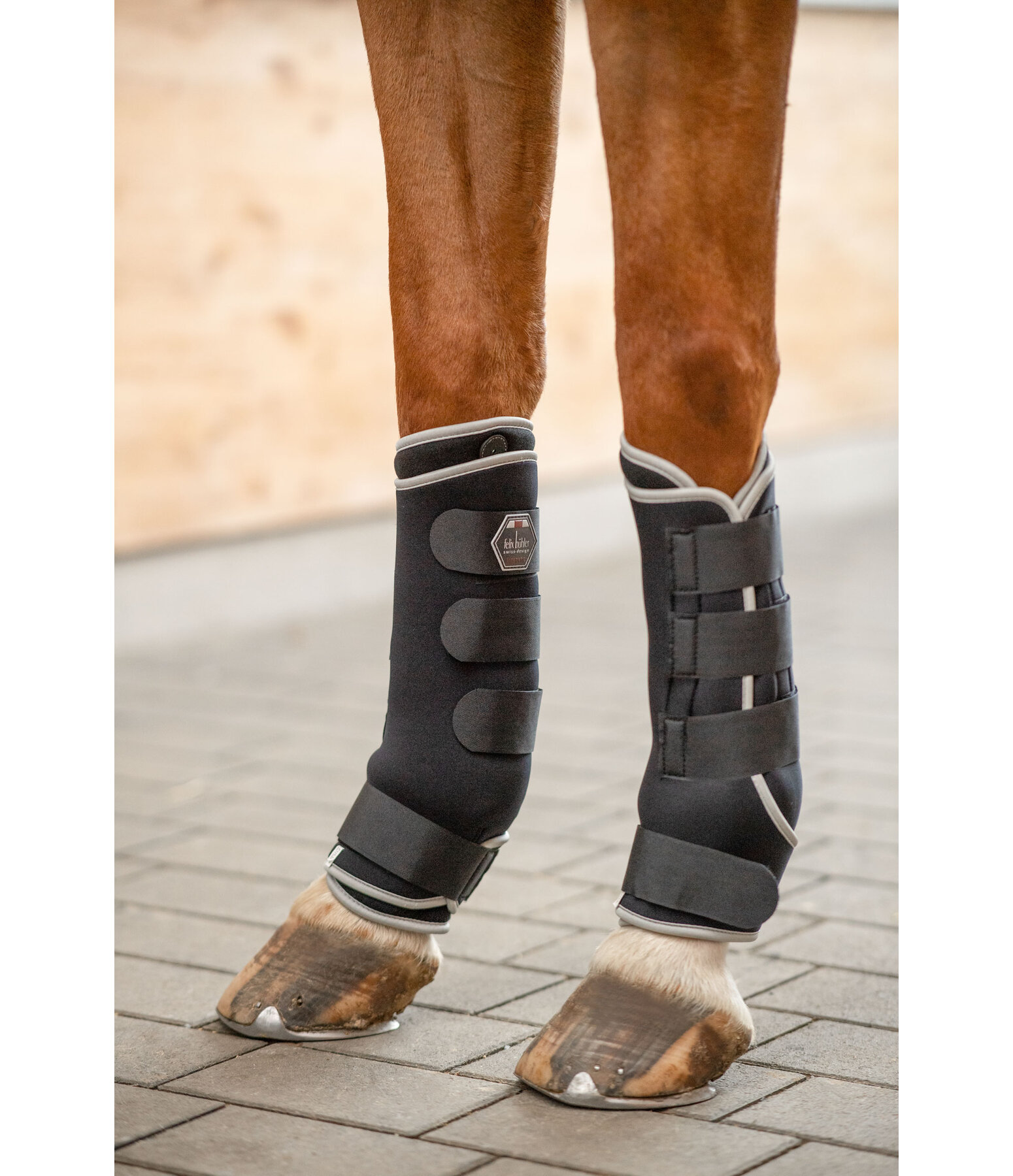 Magnetic tendon boots for horses online