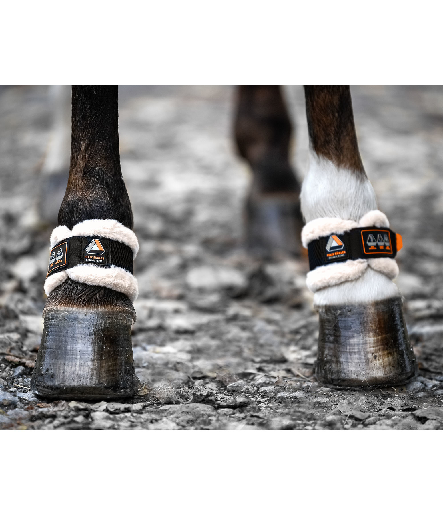 Fetlock Protection Ceramic Rehab