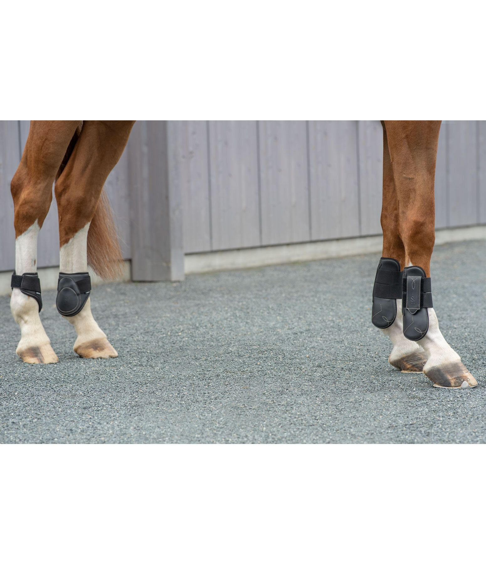 Exclusive Tendon Boots