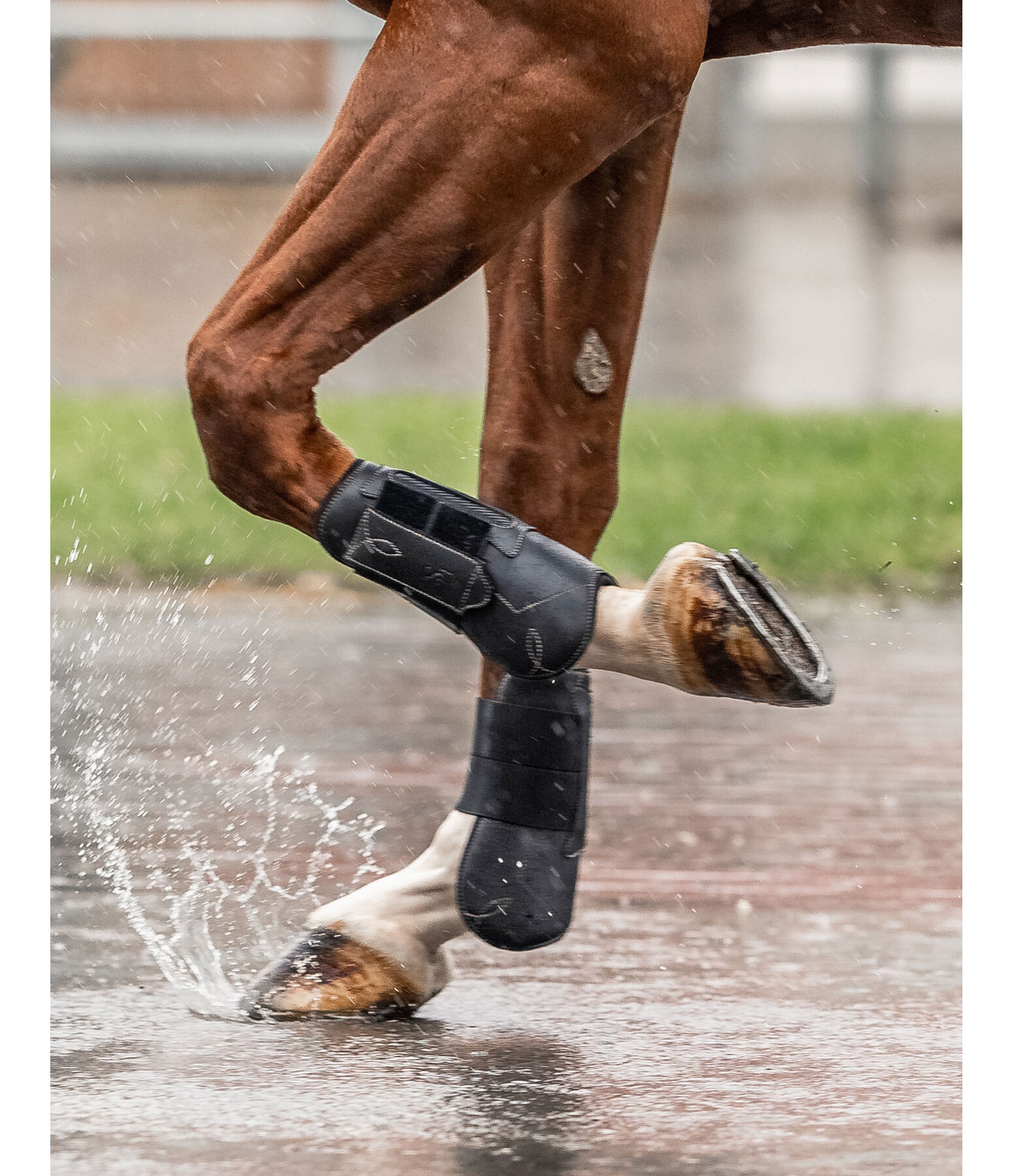 Exclusive Tendon Boots