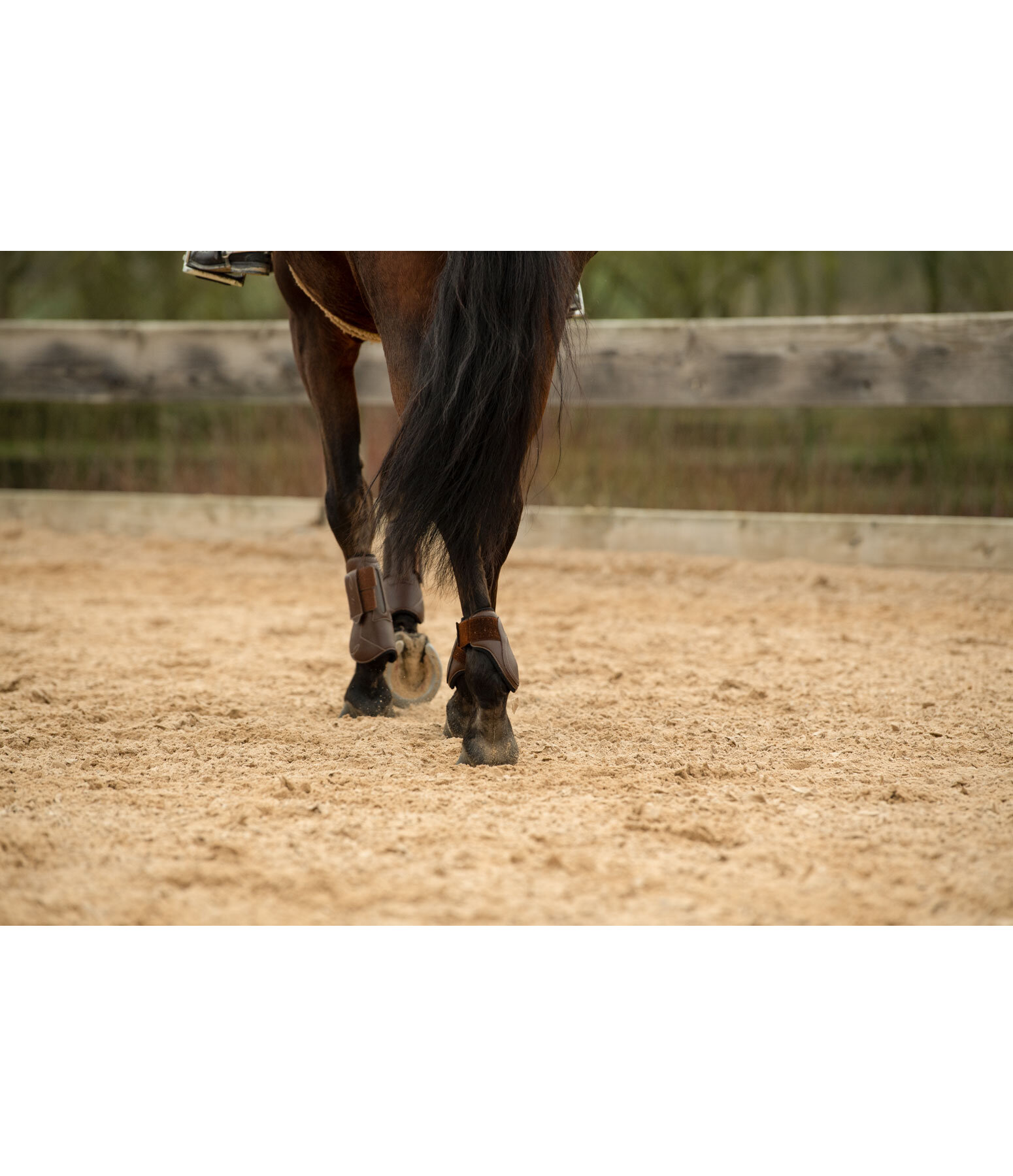 Exclusive Fetlock Boots