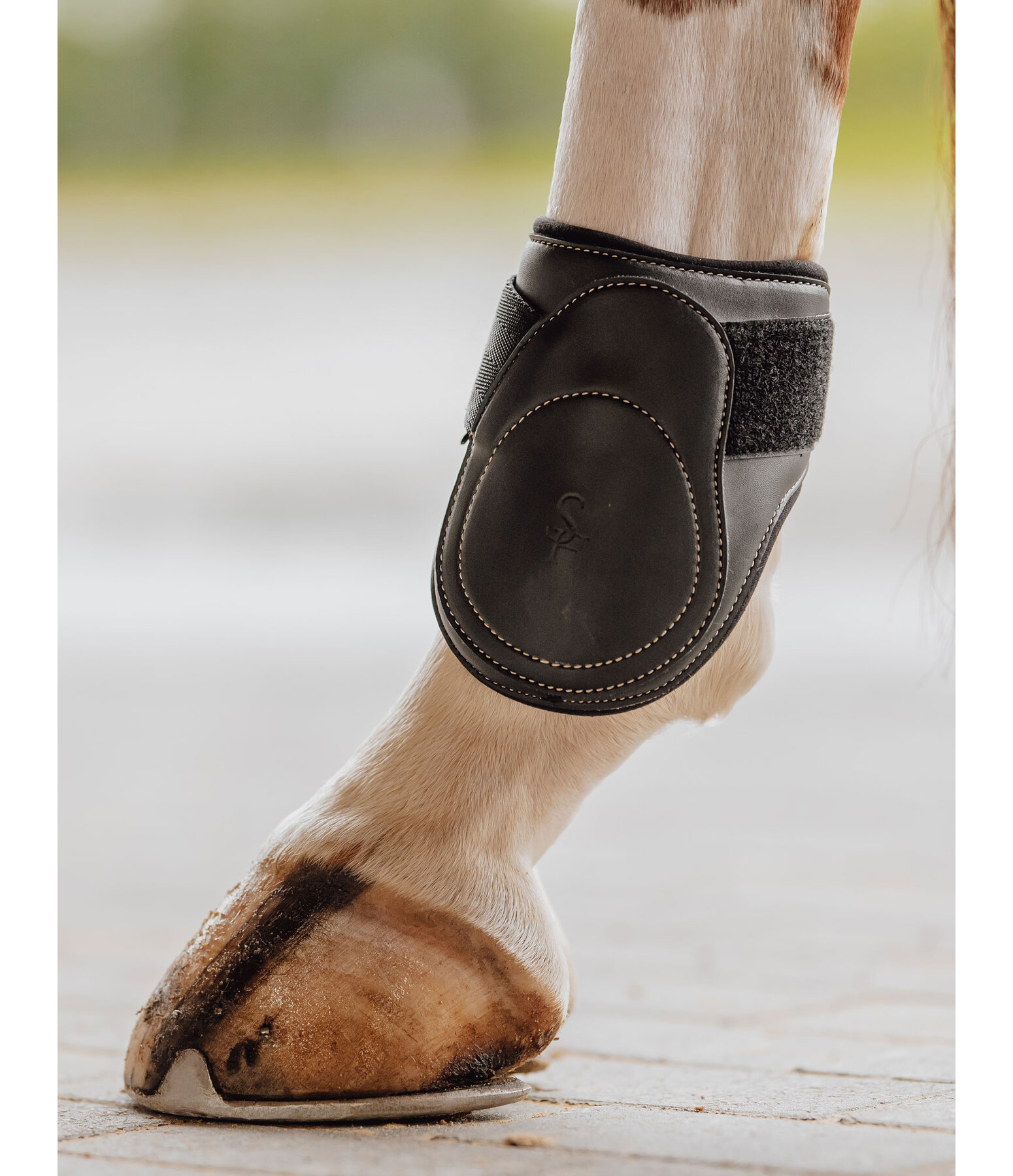 Exclusive Fetlock Boots