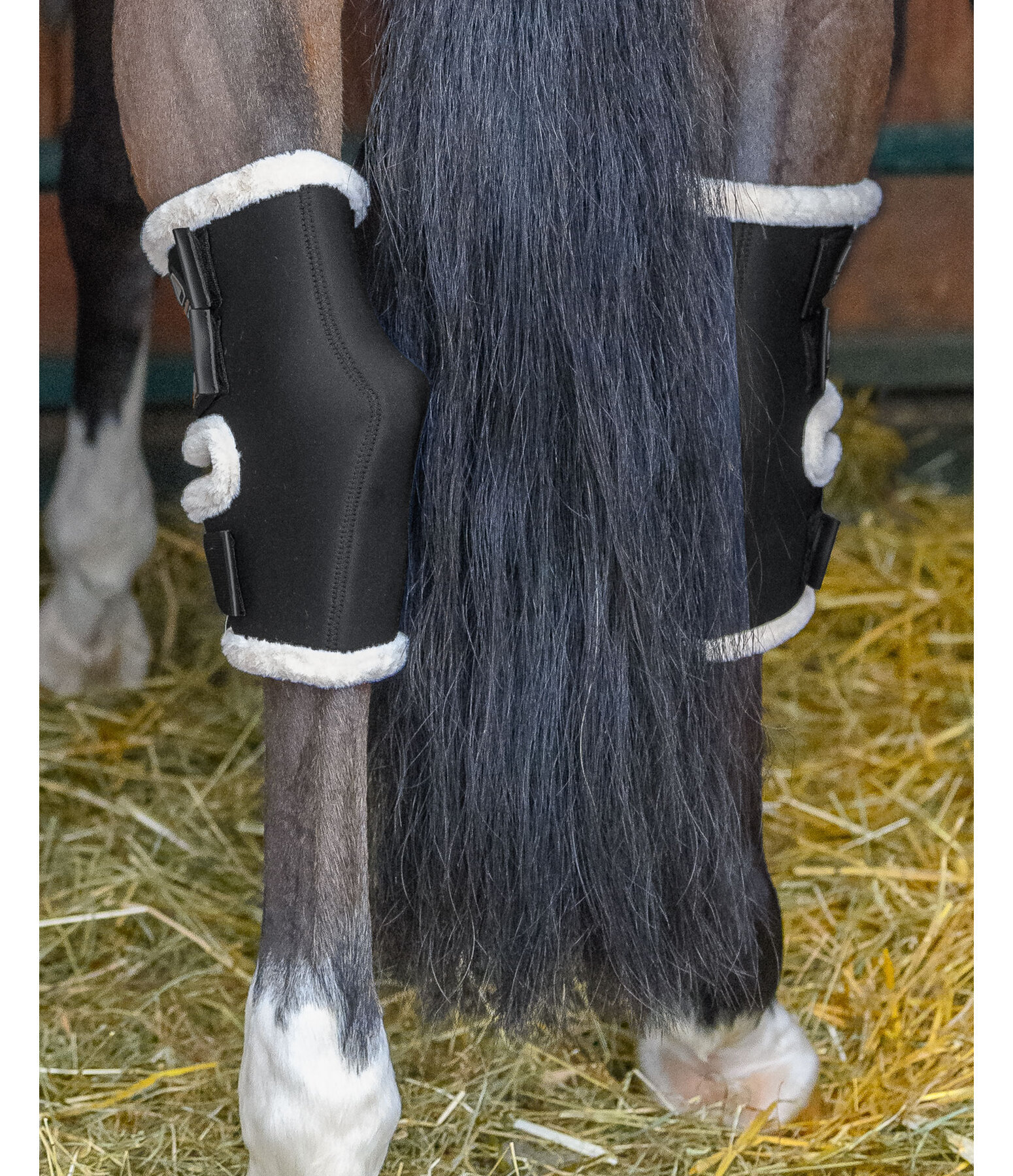 Hock boots clearance for stable