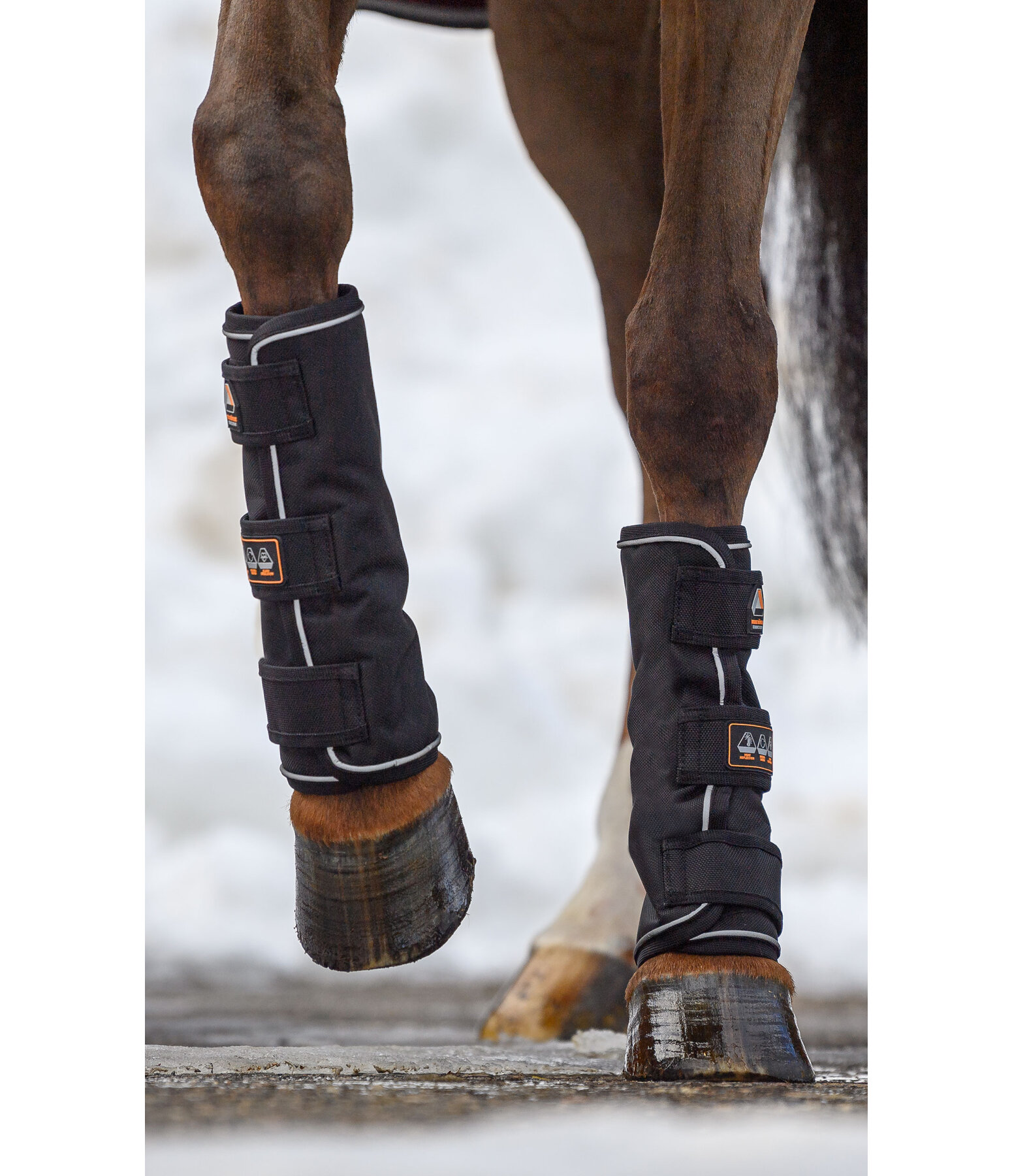 Paddock Boots Ceramic Rehab