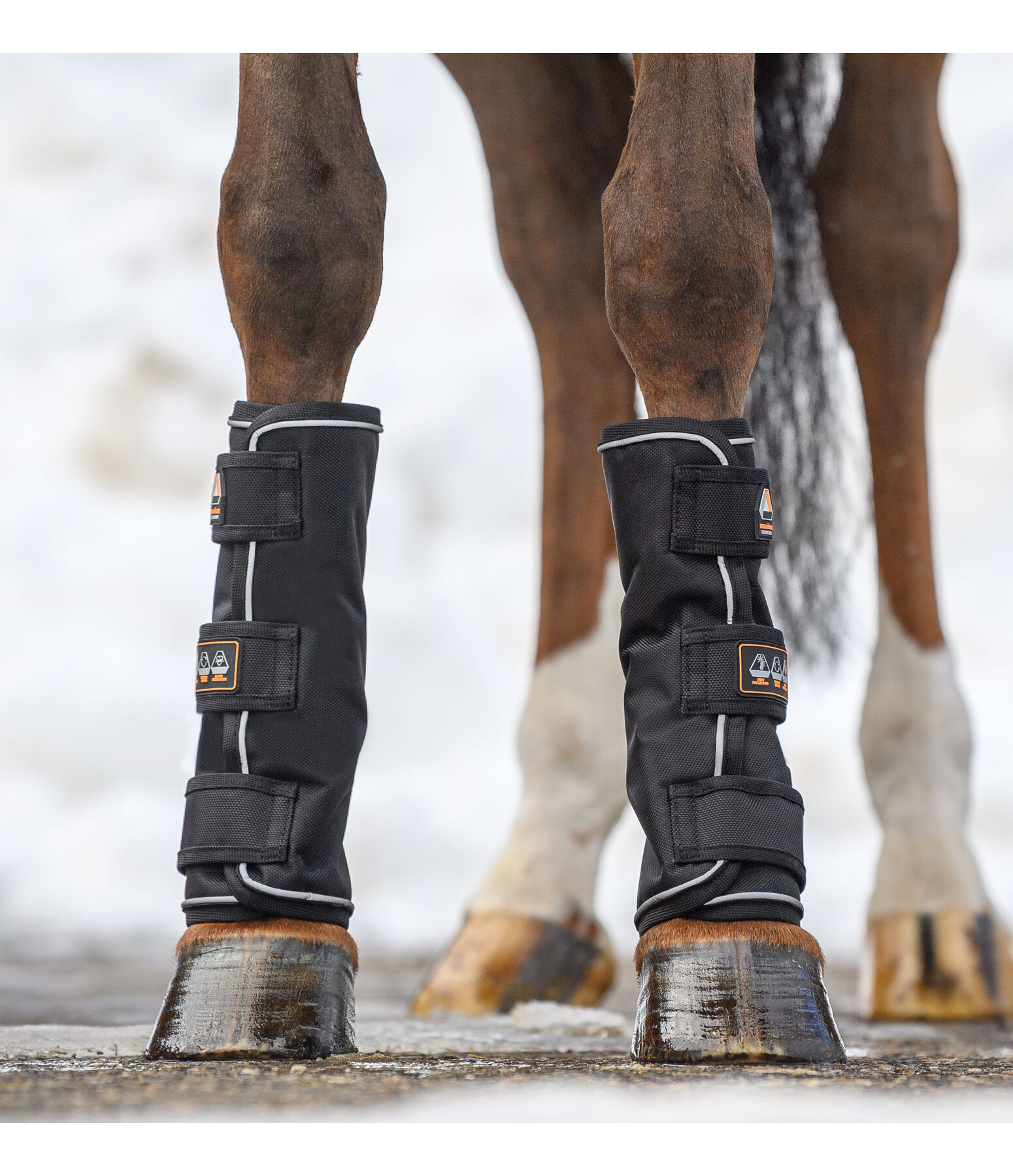 Paddock Boots Ceramic Rehab