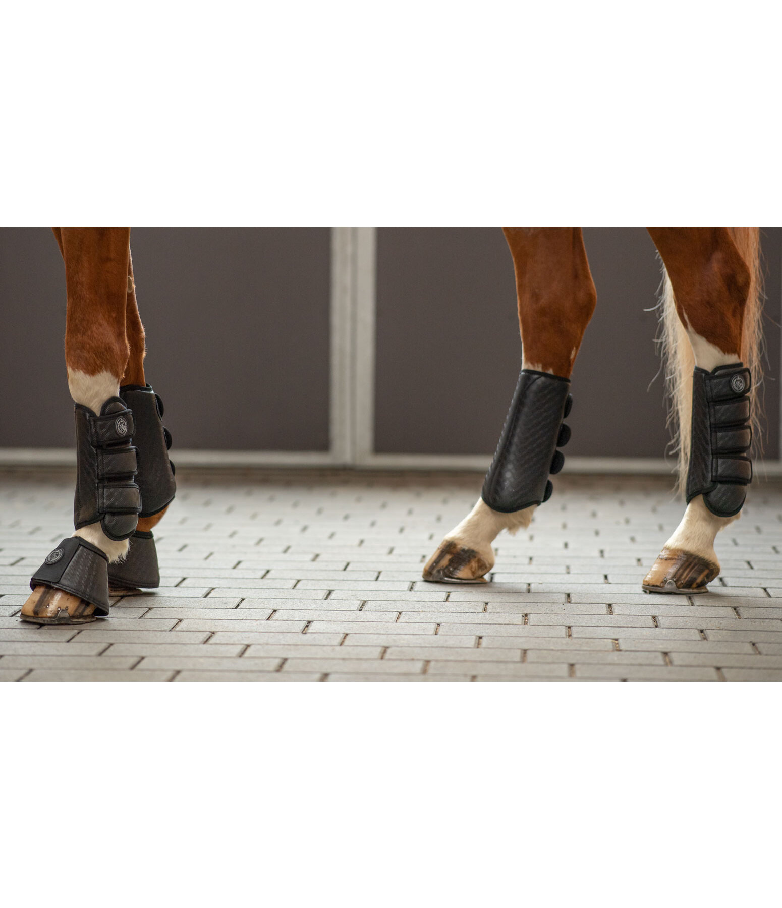 Dressage Boots Dressage-Derby