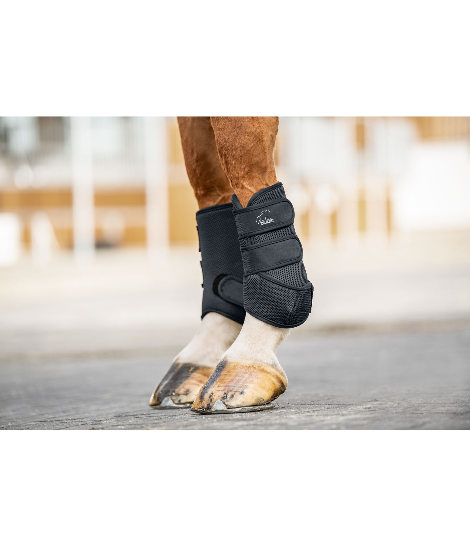 Fetlock Boots Support