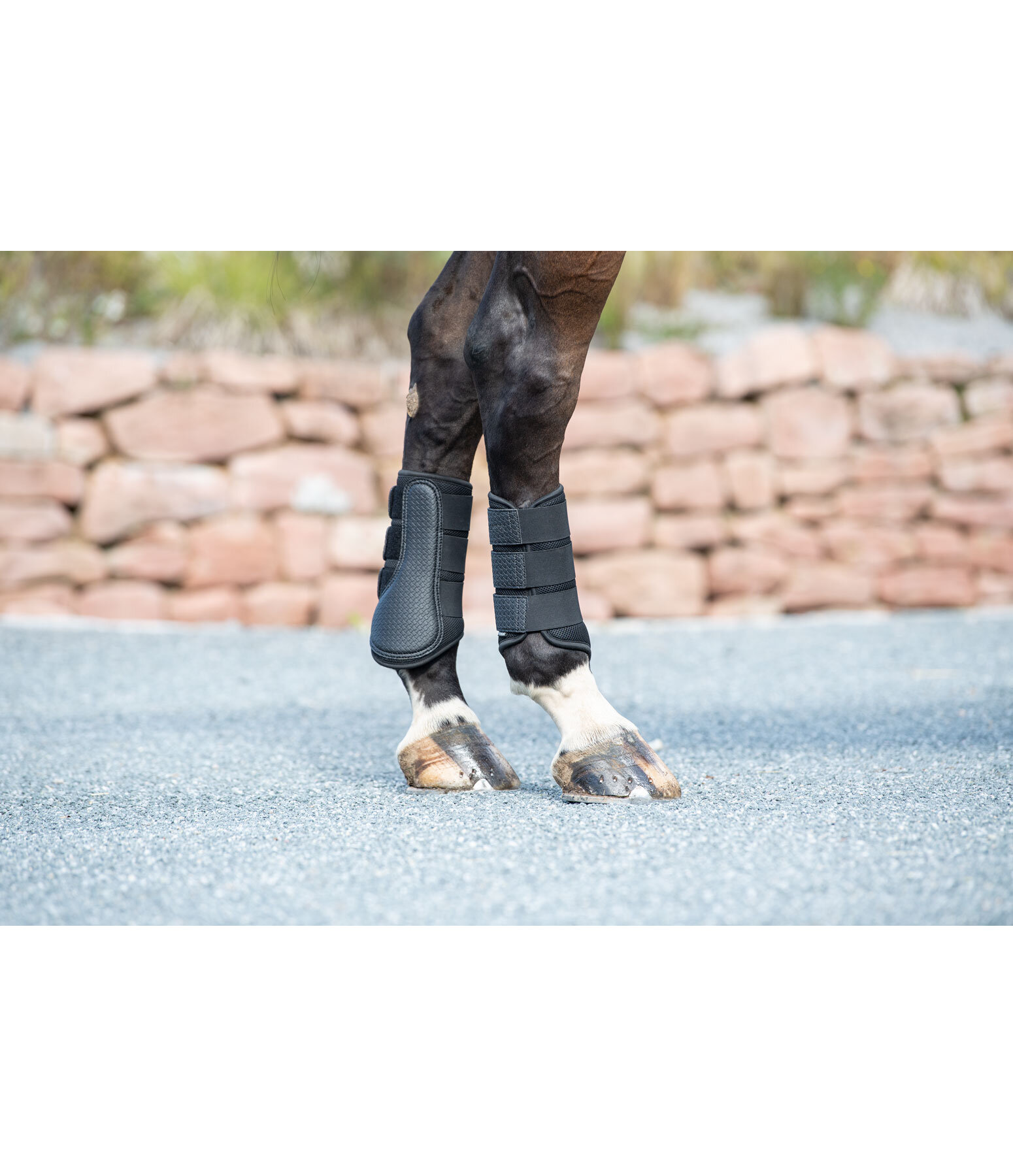 Brushing boots for back legs online