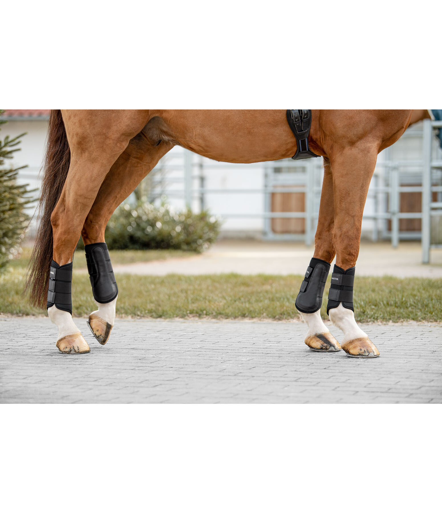 Boots Classic (Front Legs)