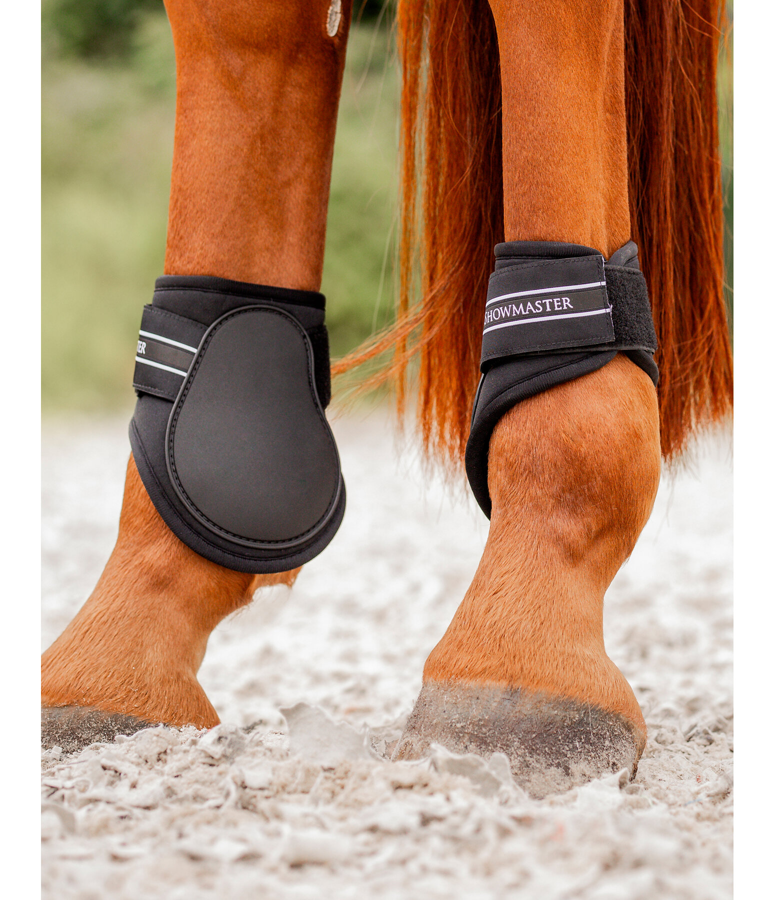 Fetlock Boots Air