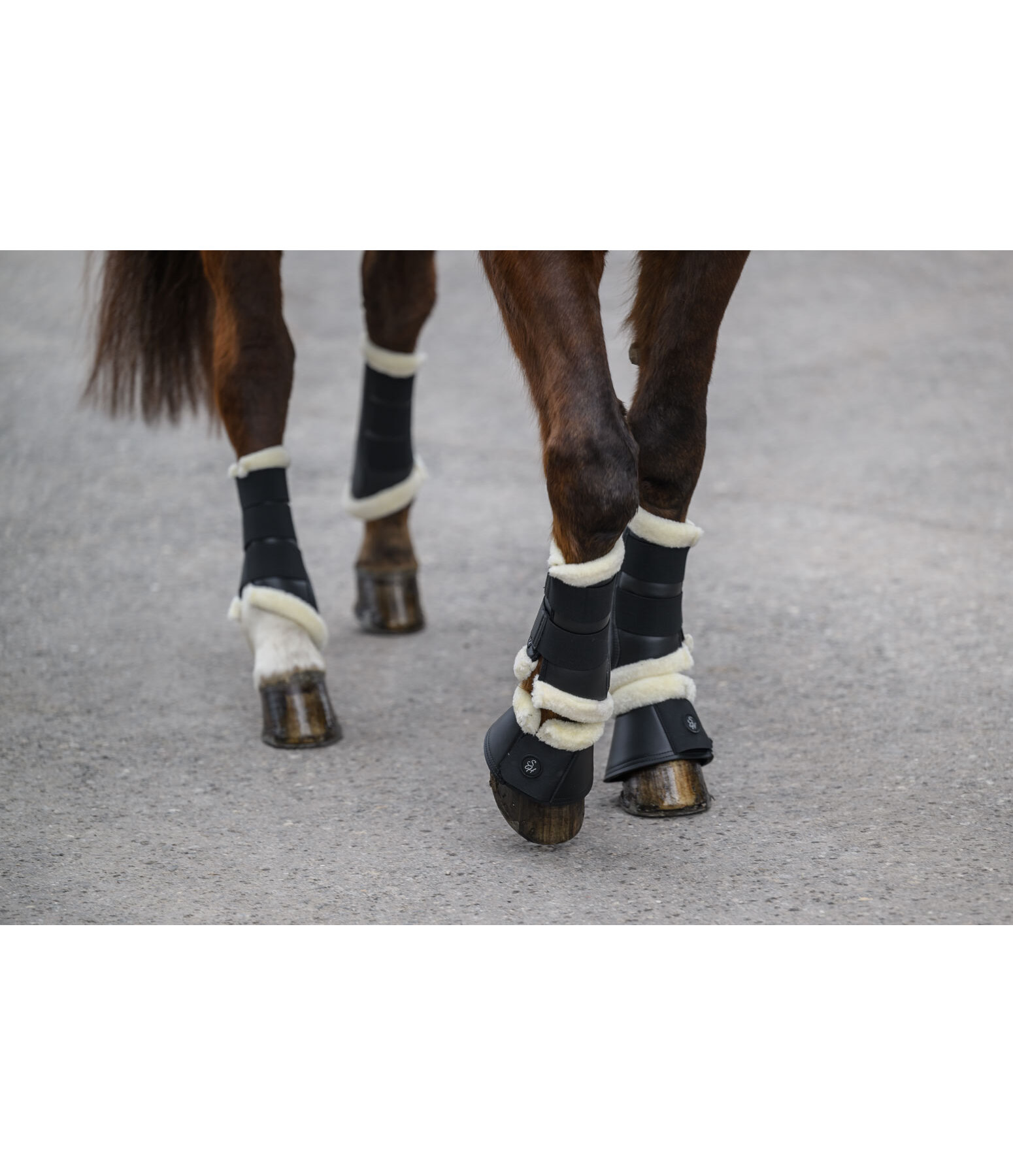 Teddy Fleece Dressage Boots Classic, Front Legs