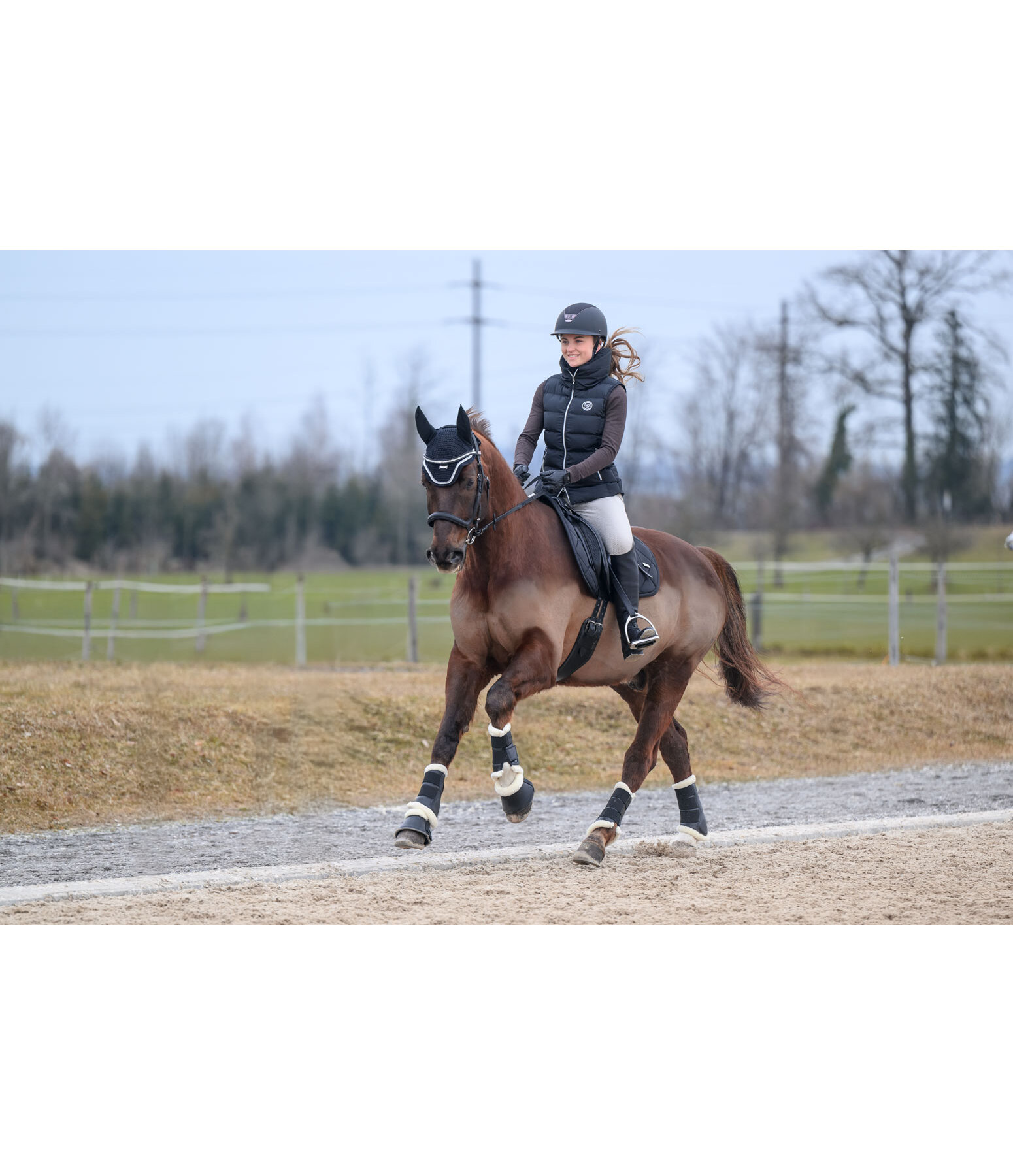 Teddy Fleece Dressage Boots Classic, Hind Legs