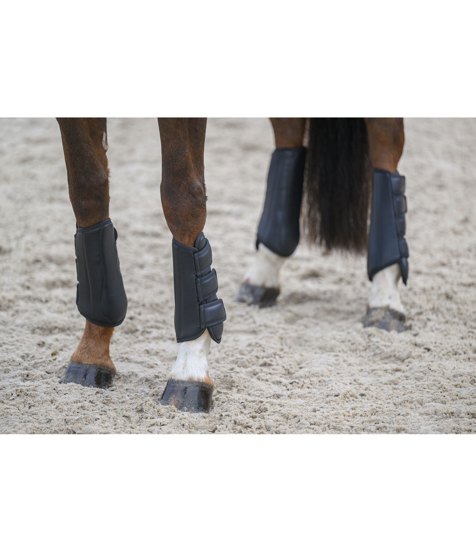 Dressage Boots All Day, Front Legs