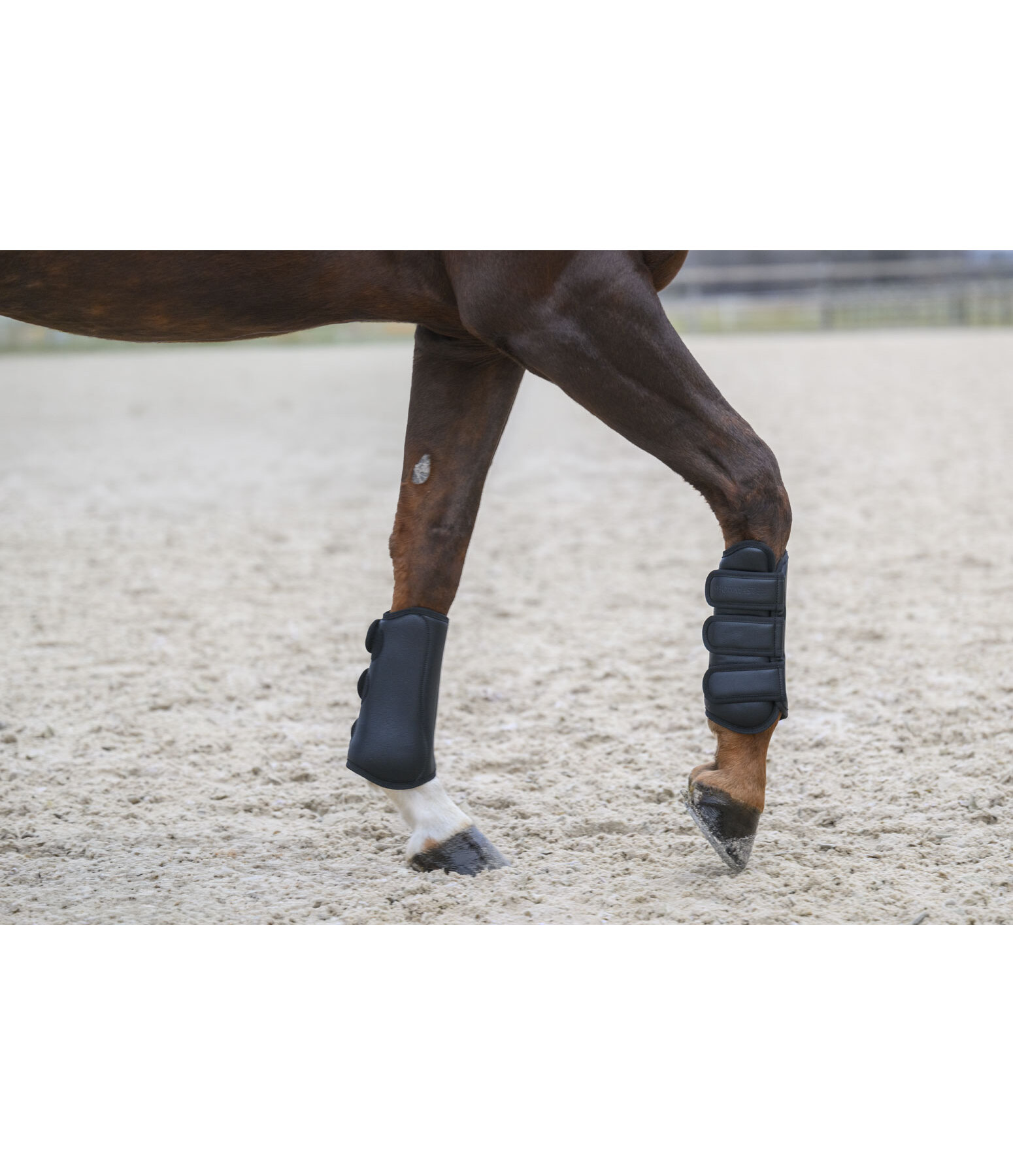 Dressage Boots All Day, Front Legs