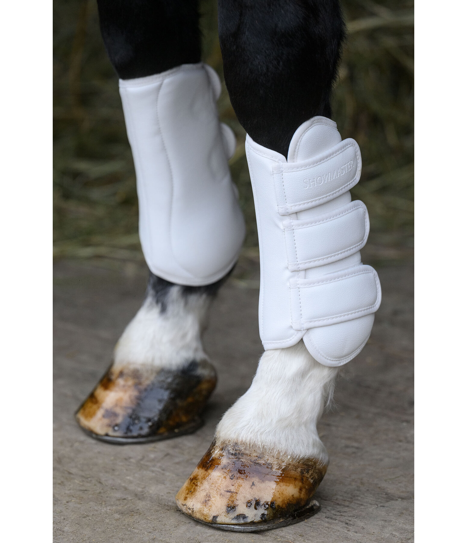 Dressage Boots All Day, Front Legs