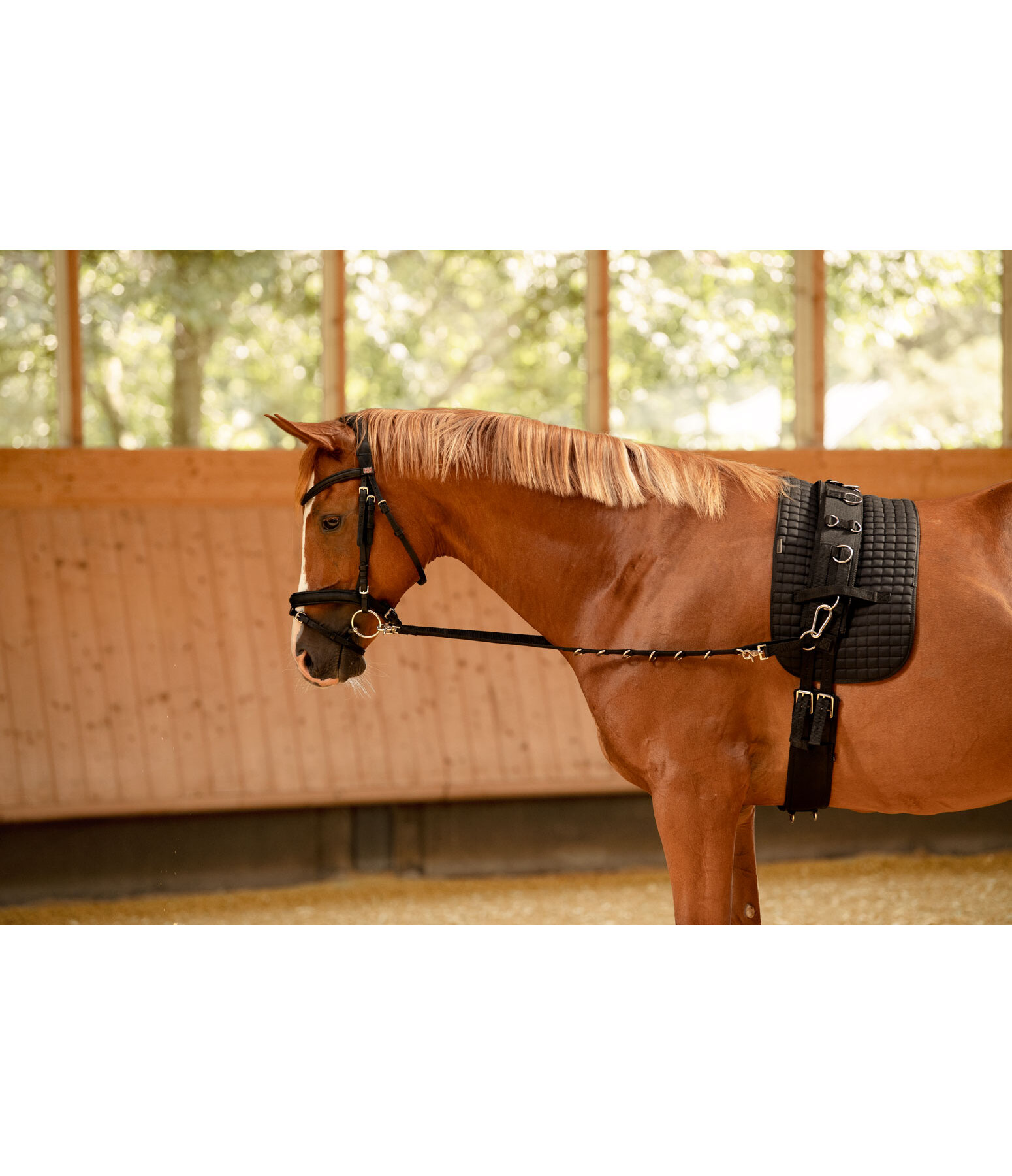 Nylon Side Reins with Rings