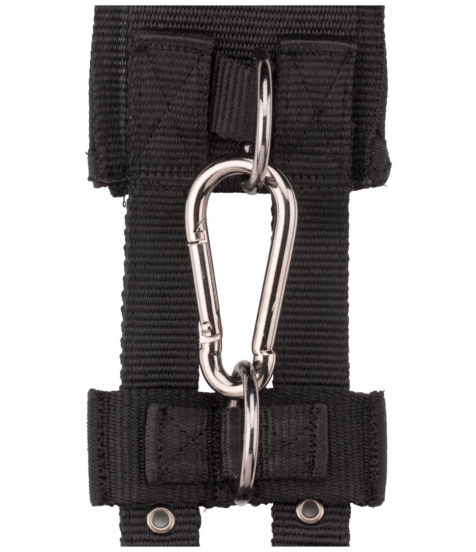 Lunge Roller Amy Rollers Kramer Equestrian